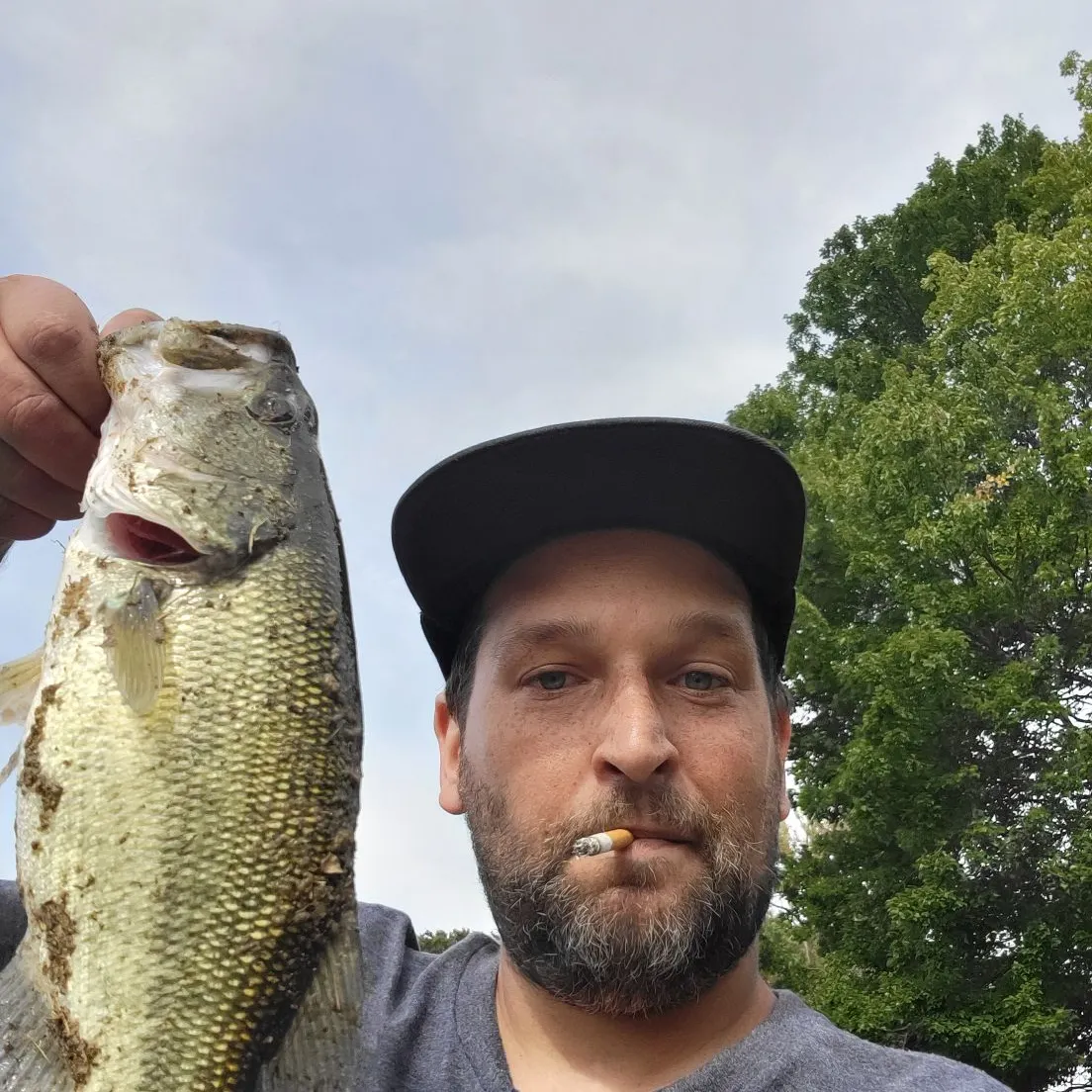 Largemouth bass caught on Fishbrain