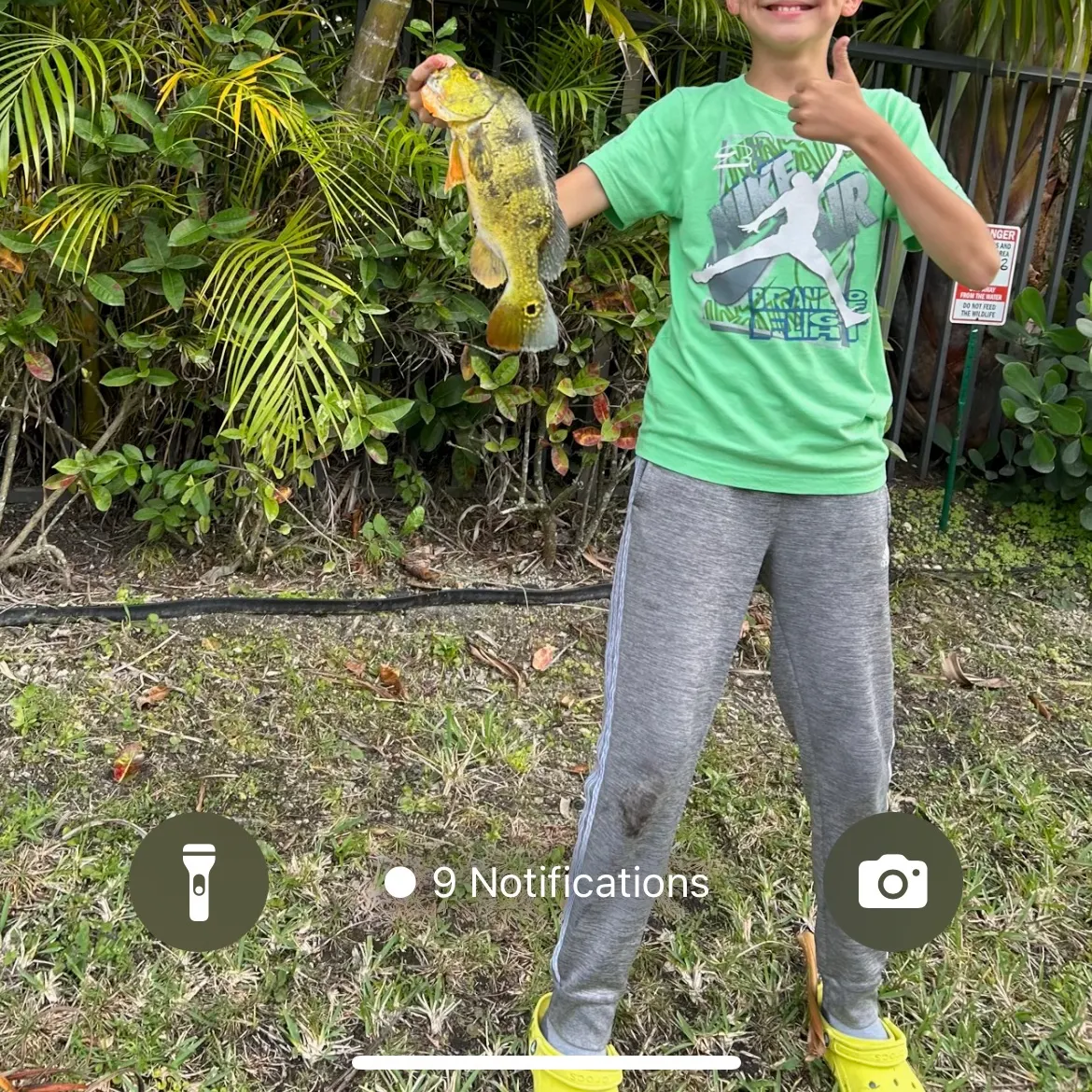 The most recent Butterfly peacock bass catches on Fishbrain