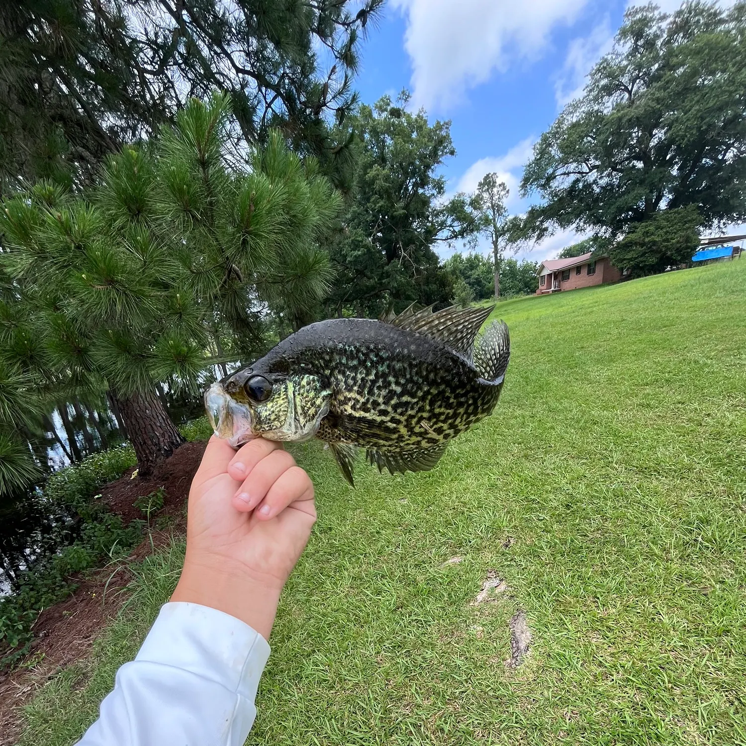 angler catch