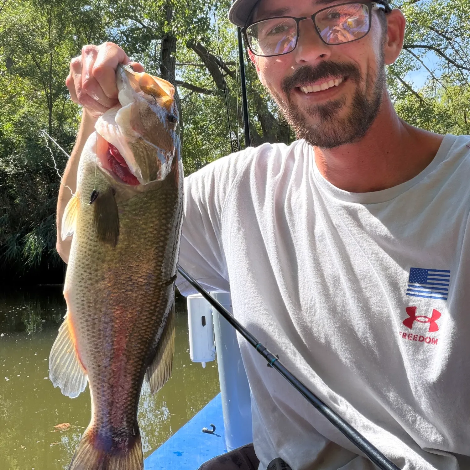 Largemouth bass caught on Fishbrain