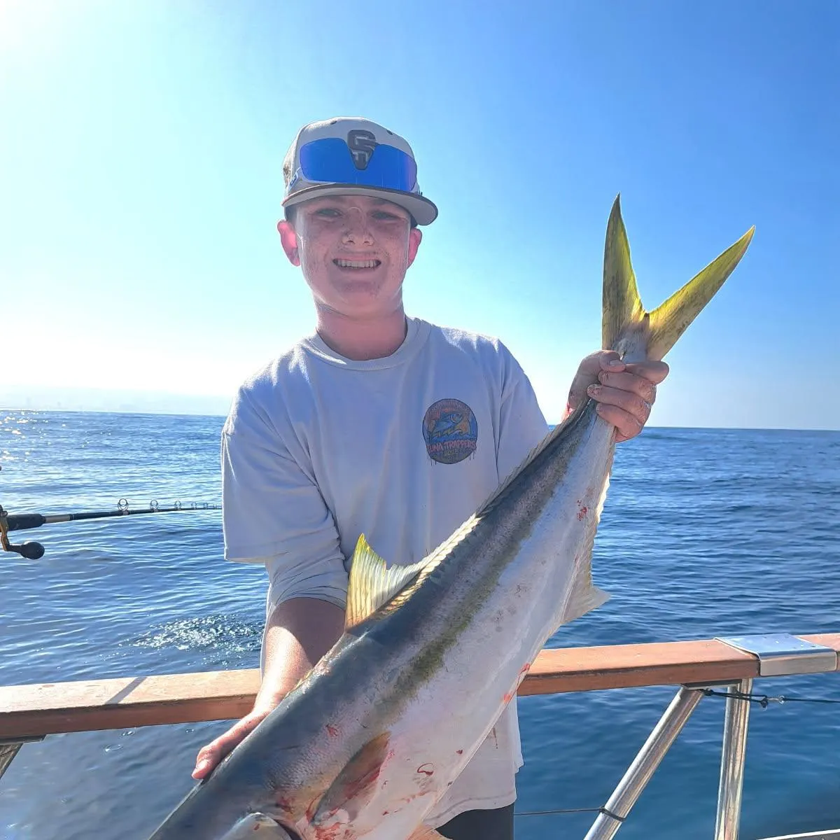 California yellowtail amberjack caught on Fishbrain