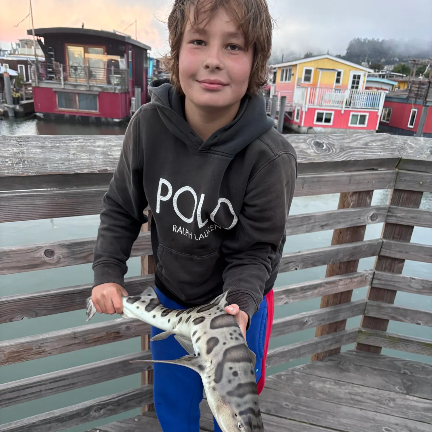 The most recent Leopard shark catches on Fishbrain