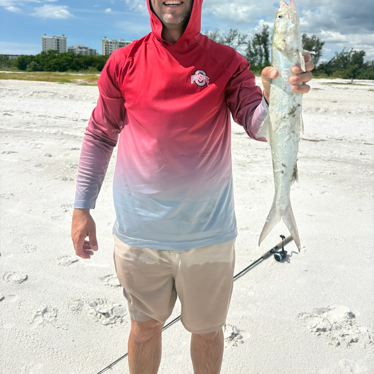 The most recent Ladyfish catches on Fishbrain