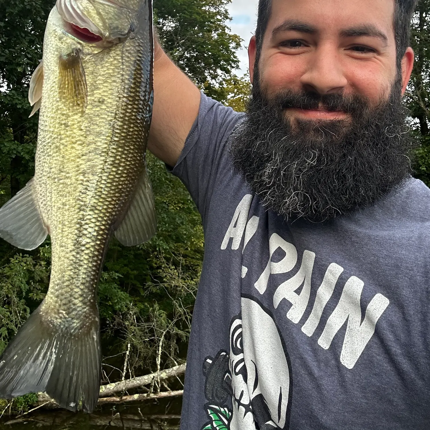 Largemouth bass caught on Fishbrain