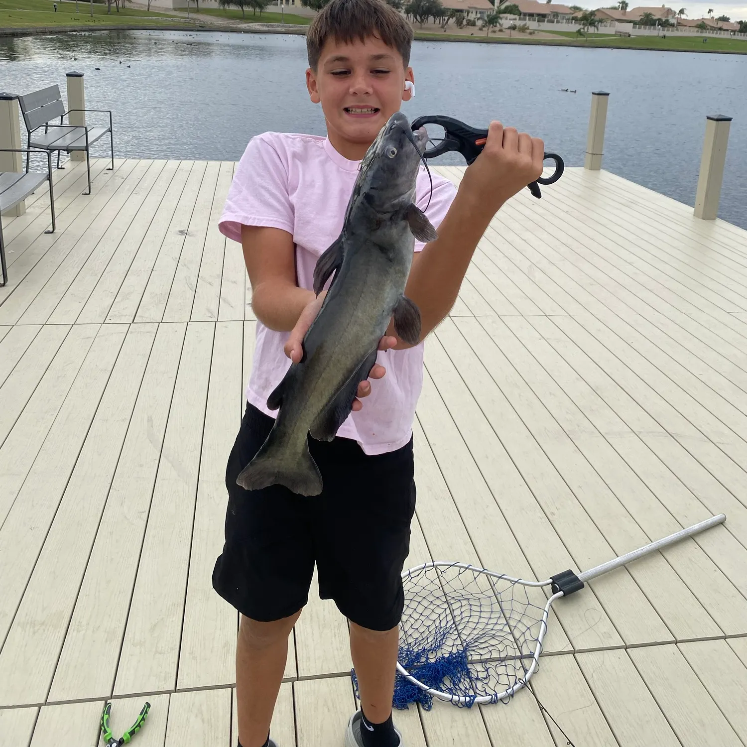 Channel catfish caught on Fishbrain