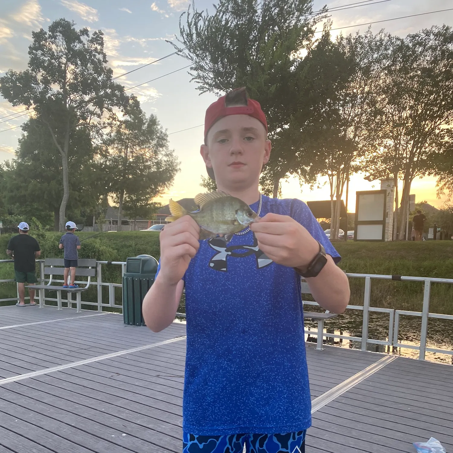 Bluegill caught on Fishbrain