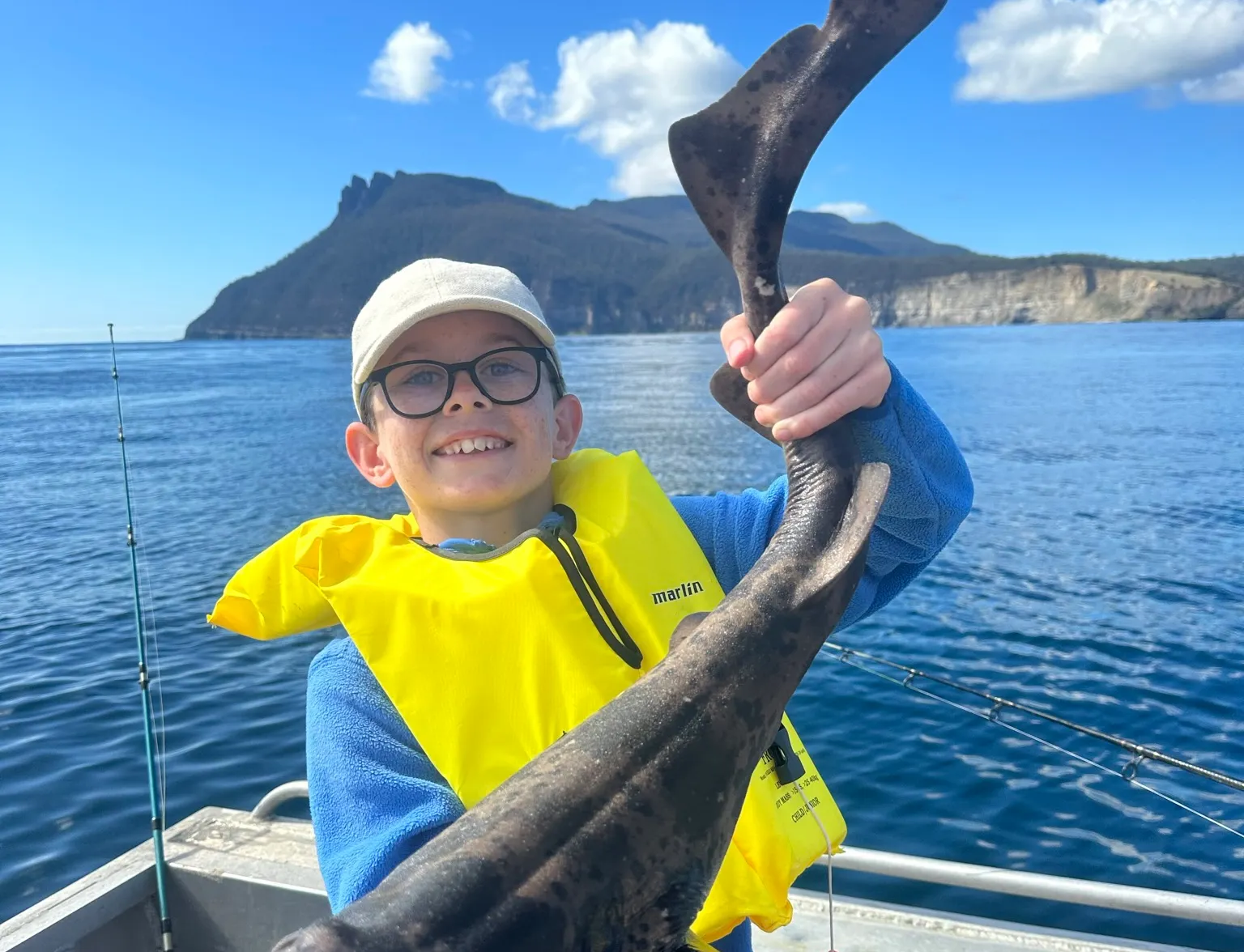 Spotted wobbegong