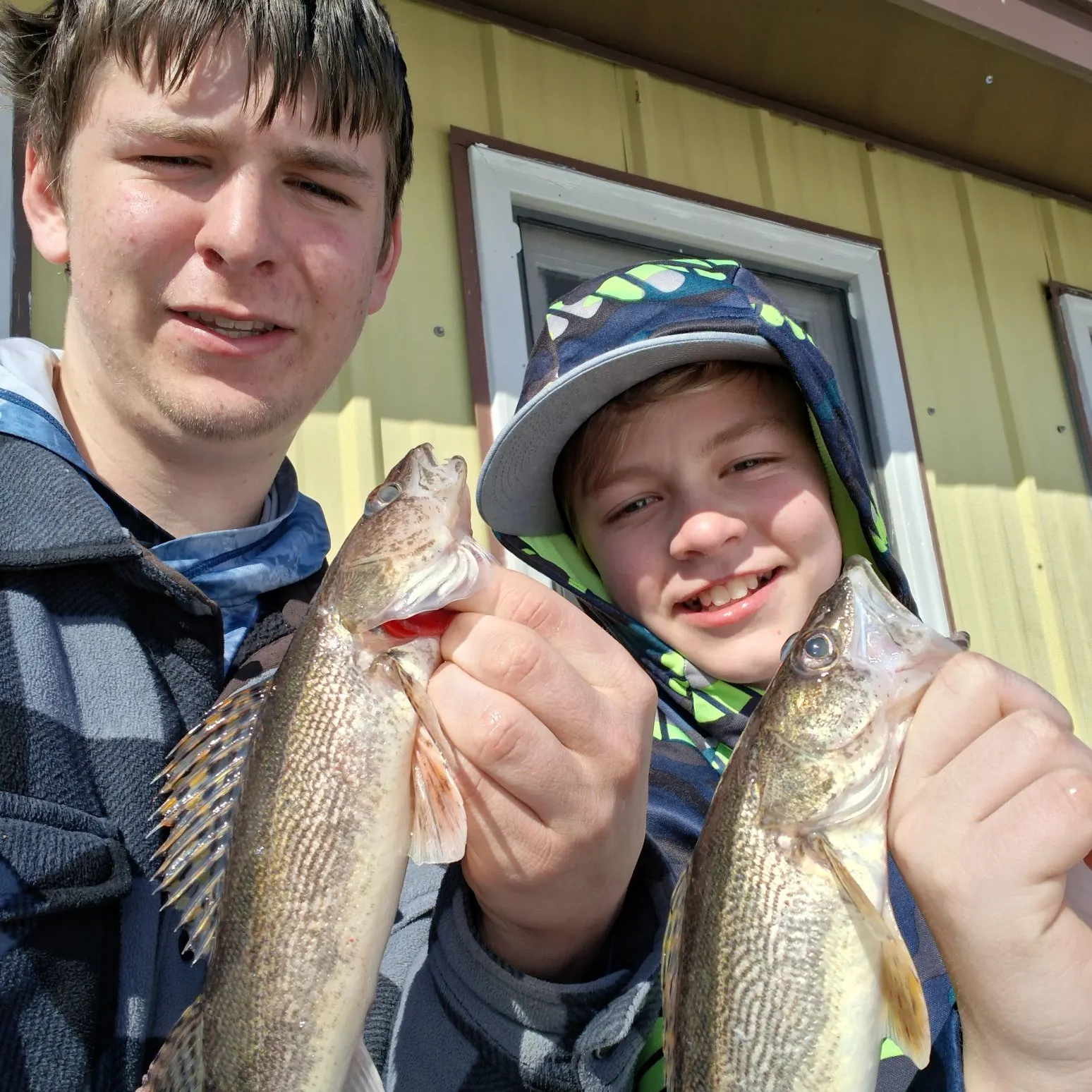 The most recent Sauger catches on Fishbrain