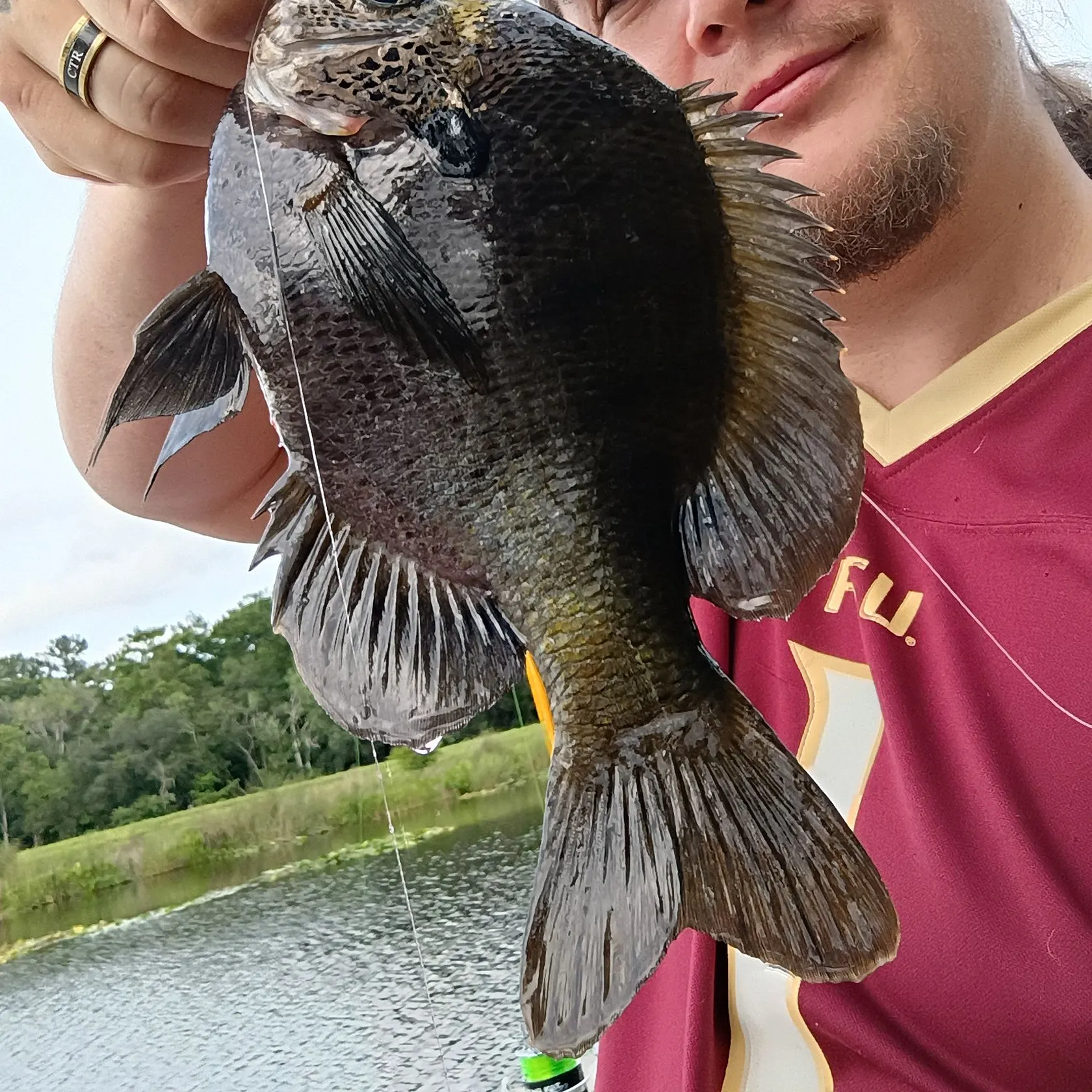 Bluegill caught on Fishbrain