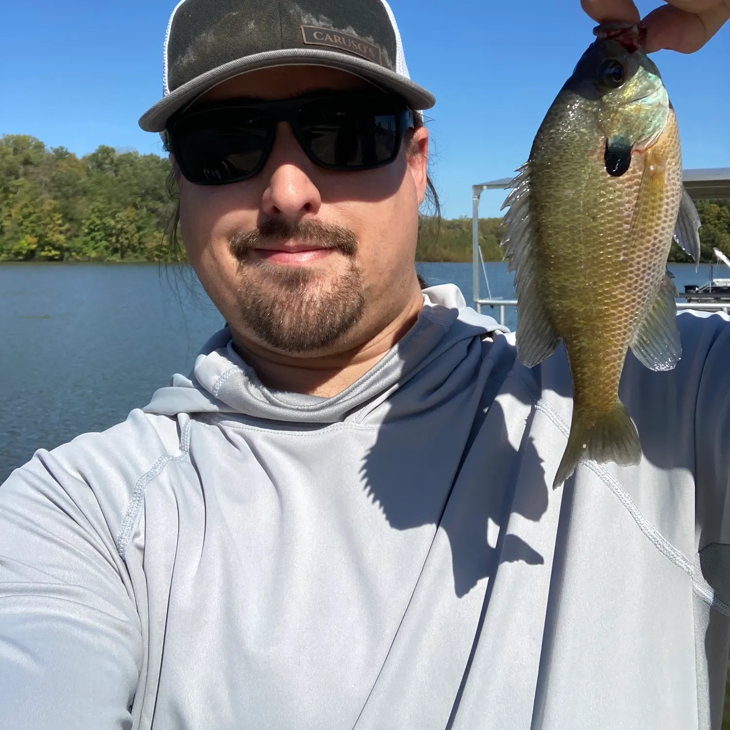 Bluegill caught on Fishbrain