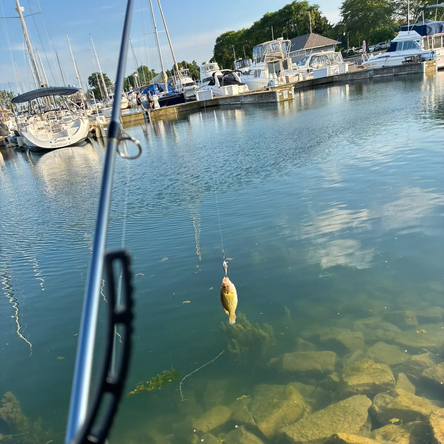 catch