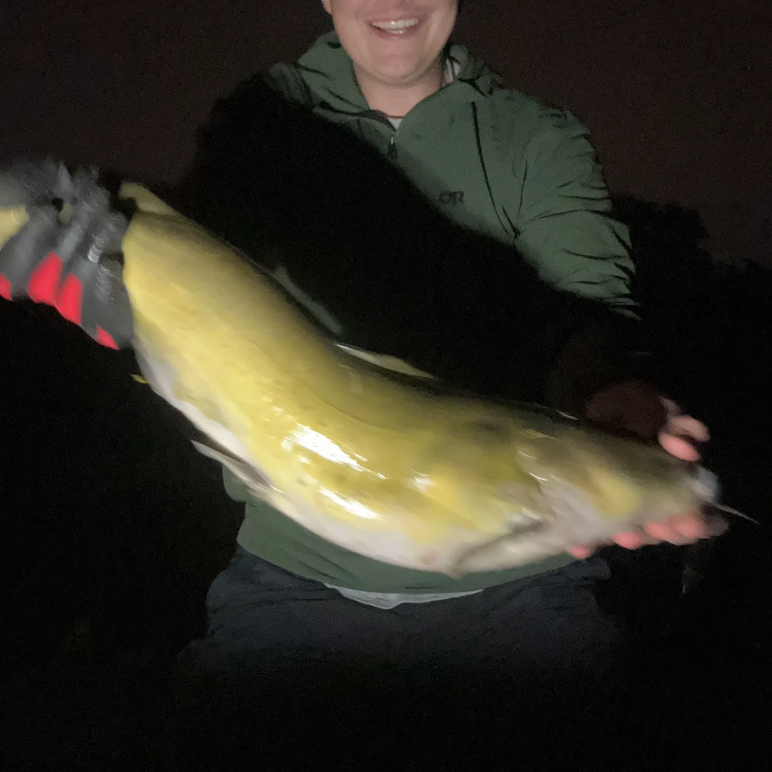 Channel catfish caught on Fishbrain