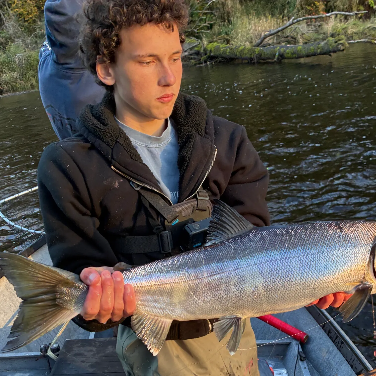 Chinook salmon caught on Fishbrain