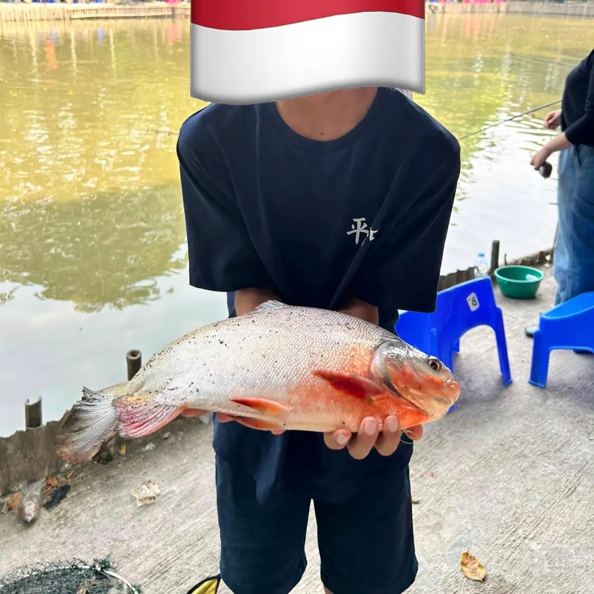 Australasian snapper caught on Fishbrain