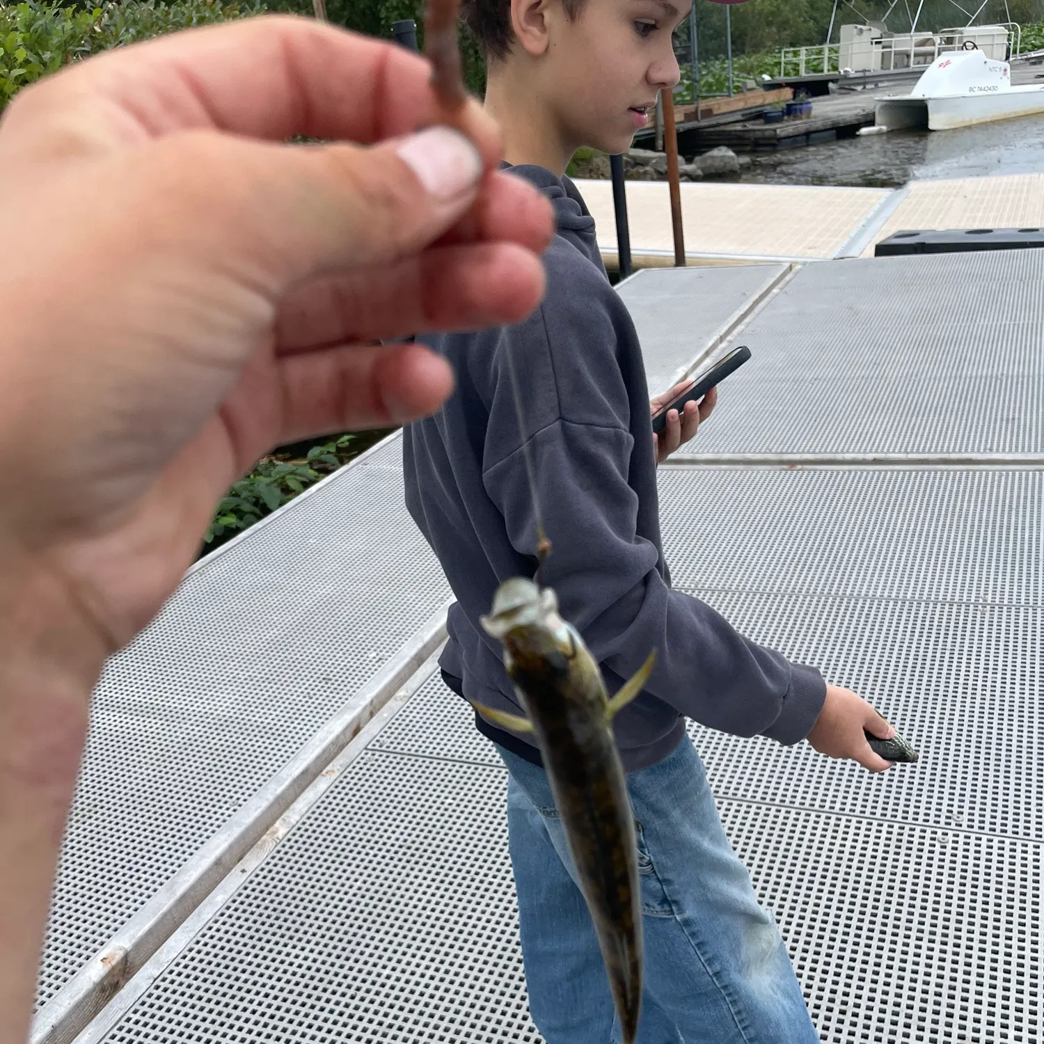 catch