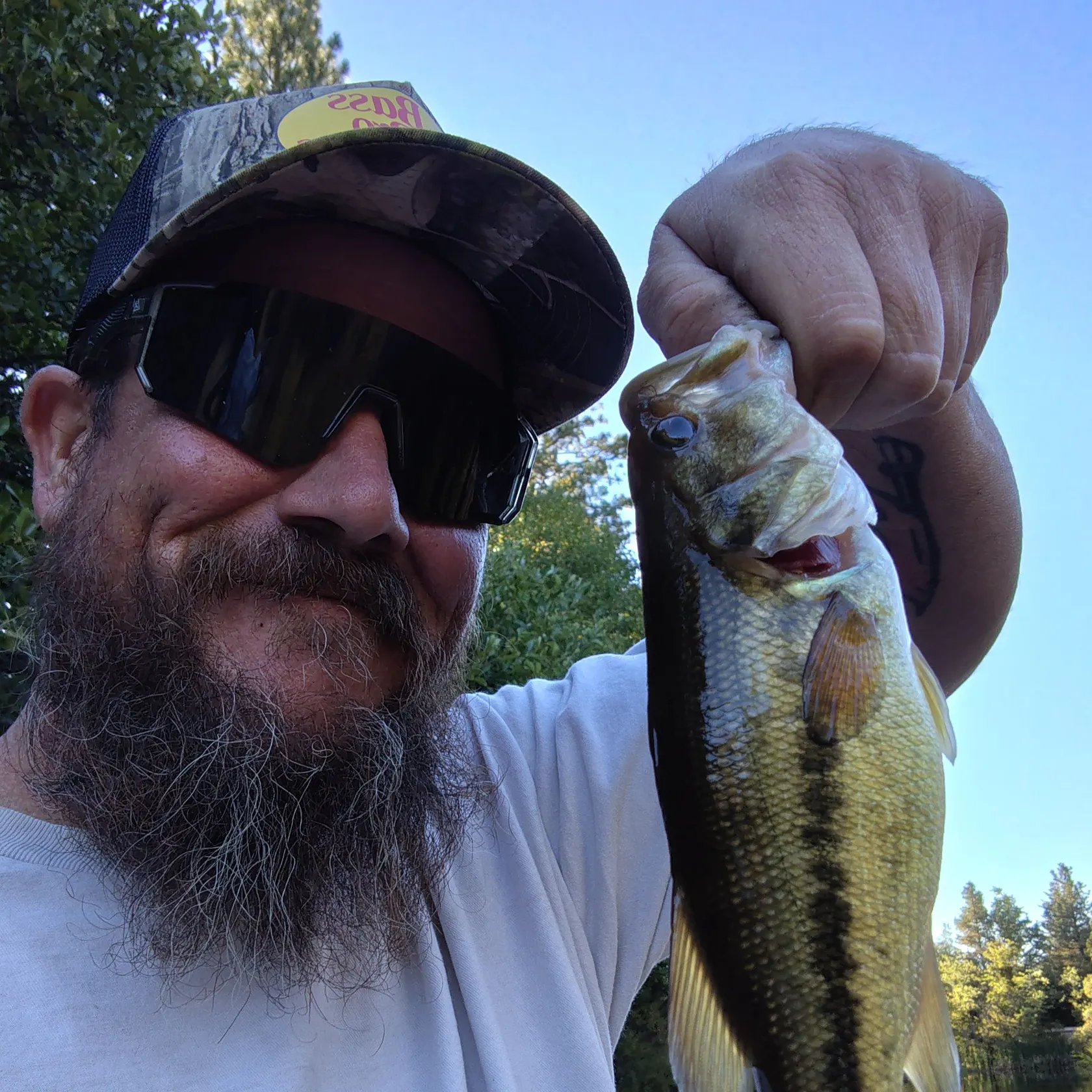 Largemouth bass caught on Fishbrain