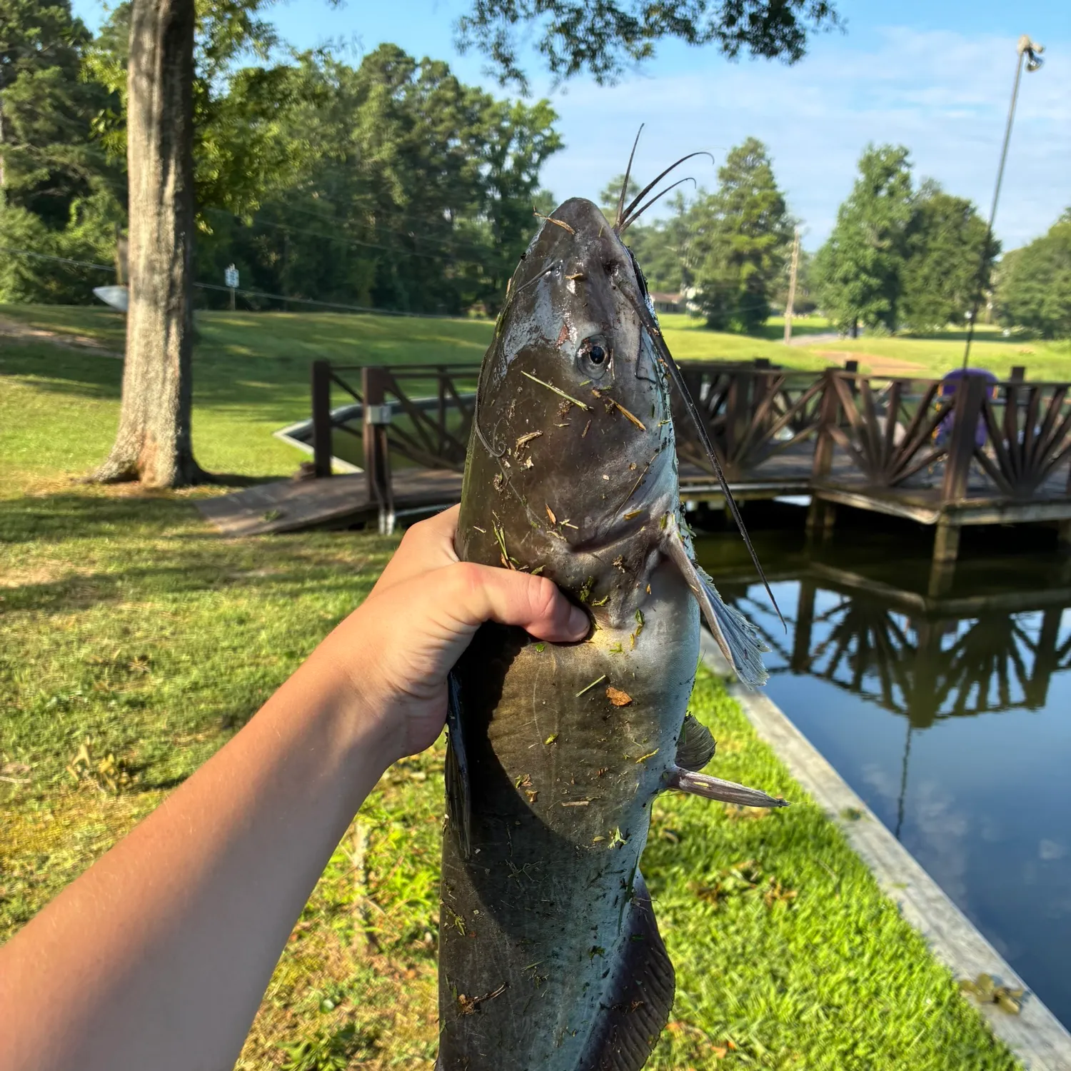catch