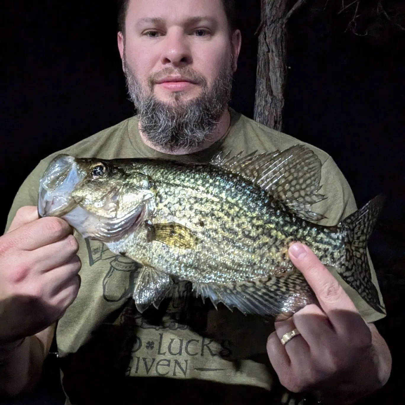 The most recent Black crappie catches on Fishbrain