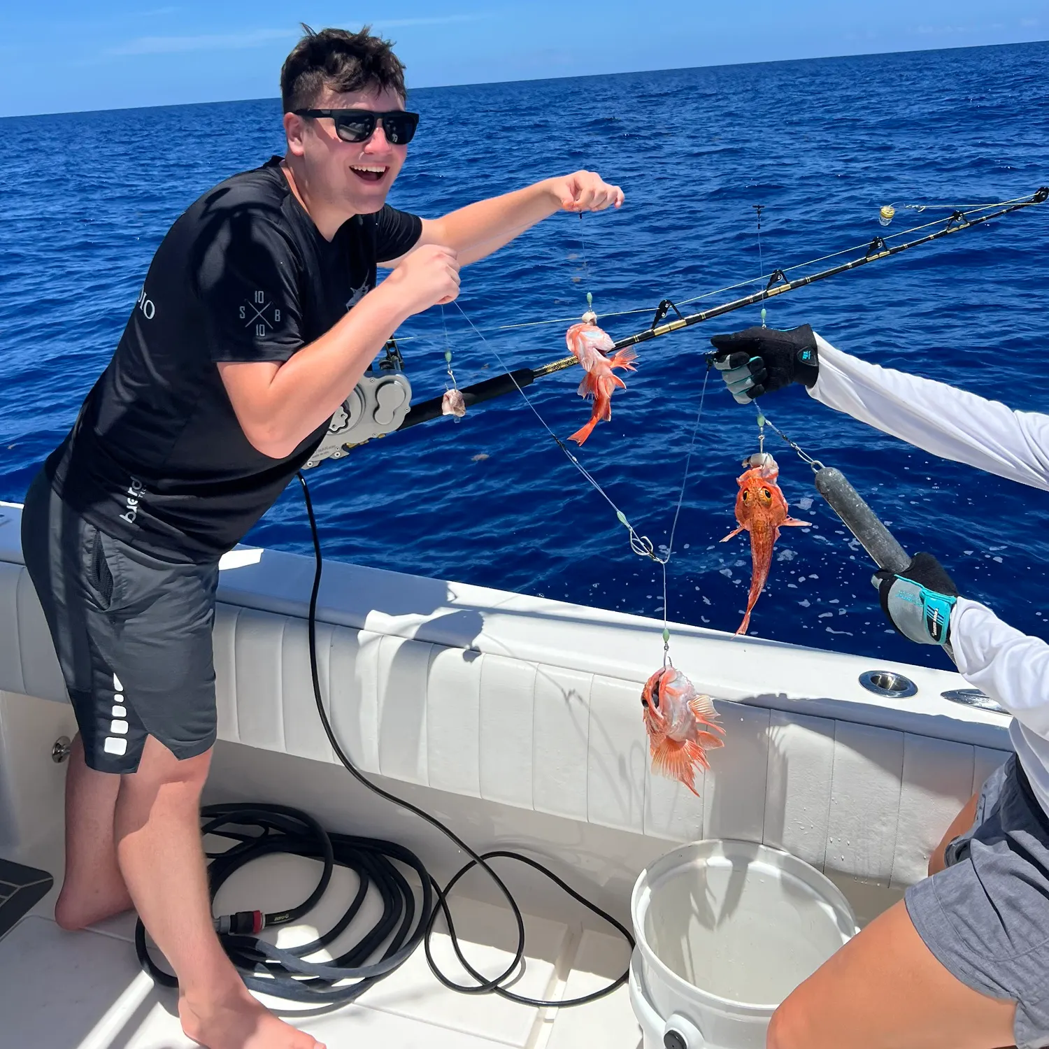 The most recent Blackbelly rosefish catches on Fishbrain