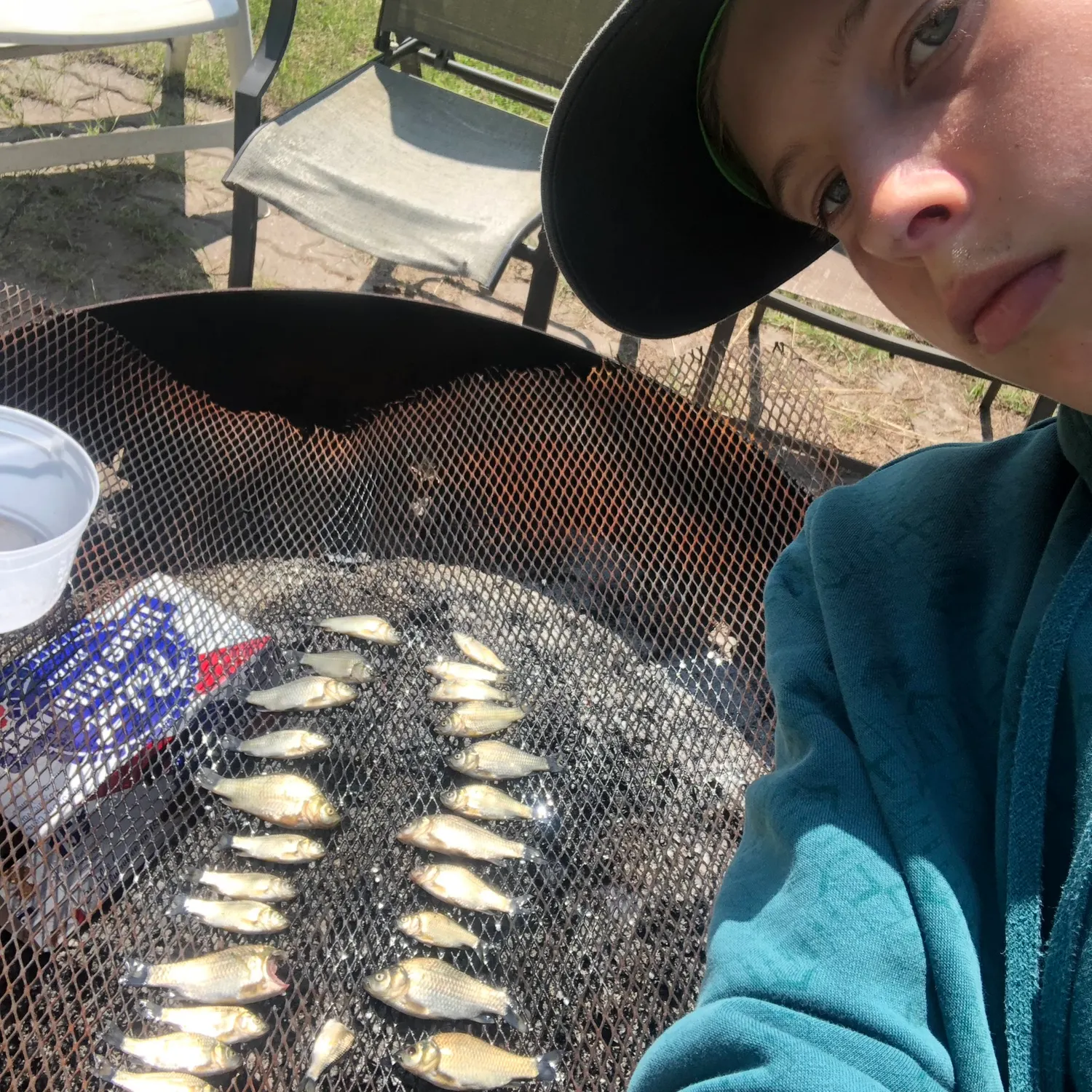 The most recent Prussian carp catches on Fishbrain