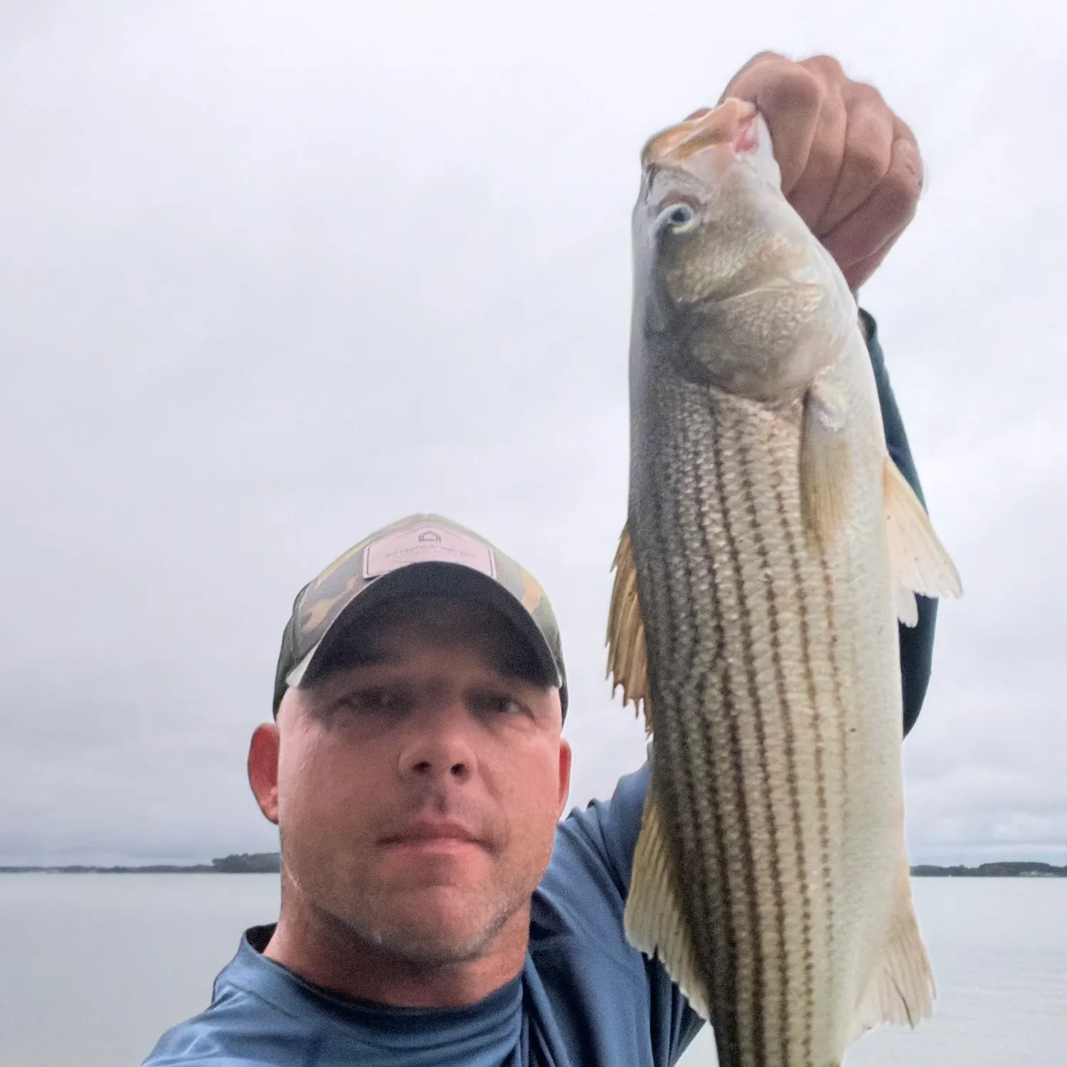 Striped bass caught on Fishbrain