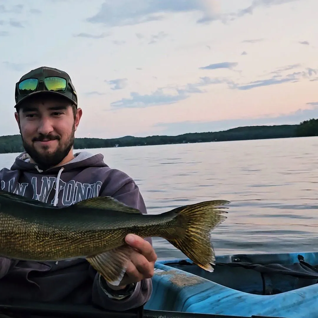 The most recent Walleye catches on Fishbrain