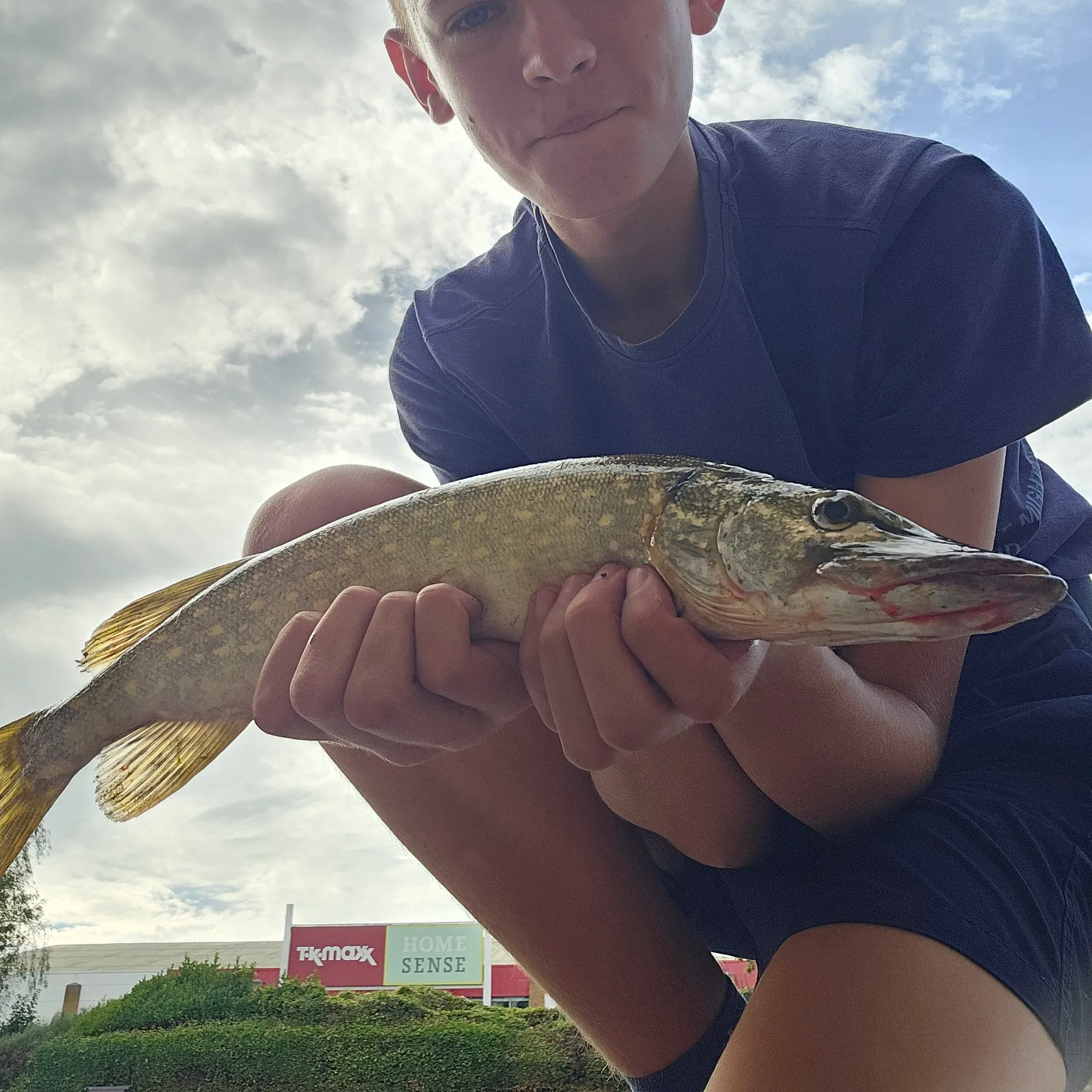 Northern pike caught on Fishbrain