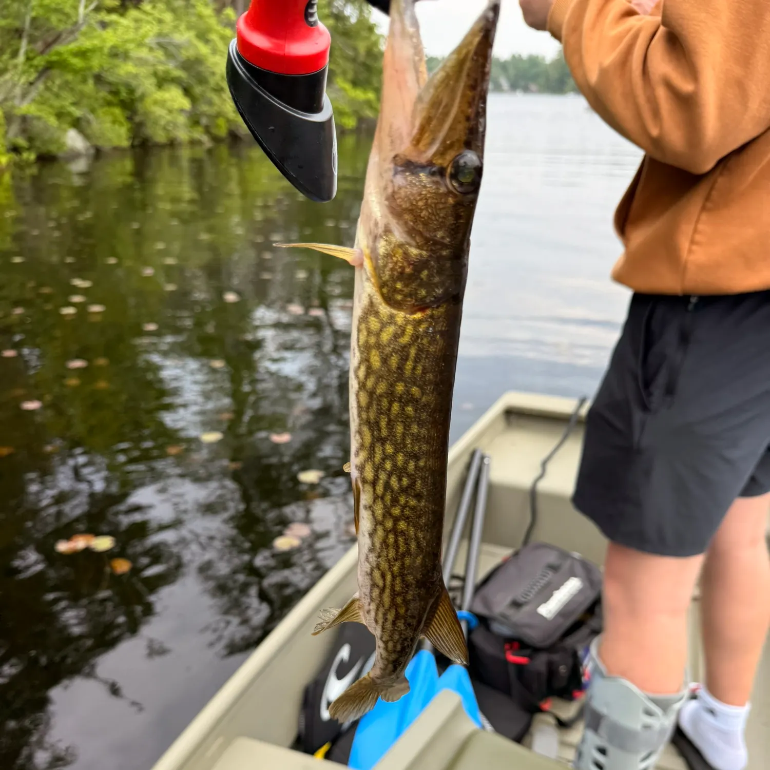 catch