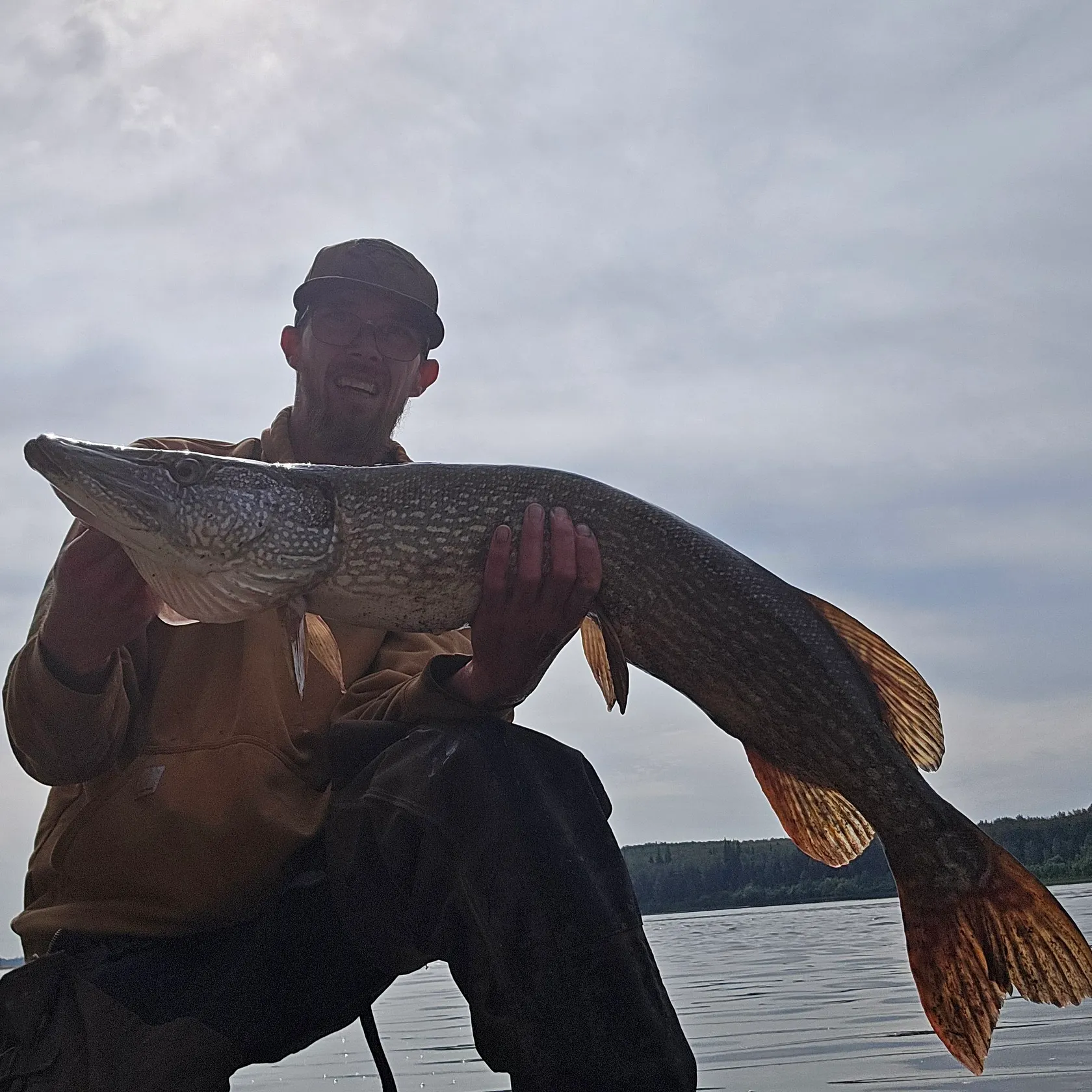 Northern pike caught on Fishbrain