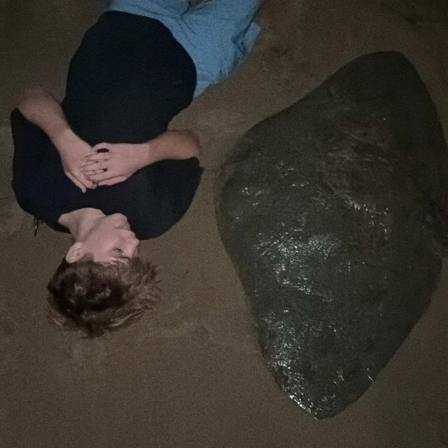 The most recent California butterfly ray catches on Fishbrain