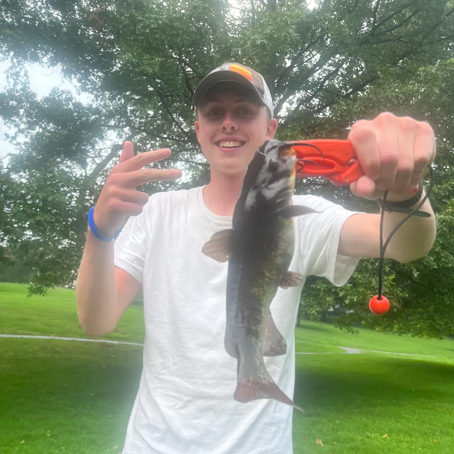 Channel catfish caught on Fishbrain