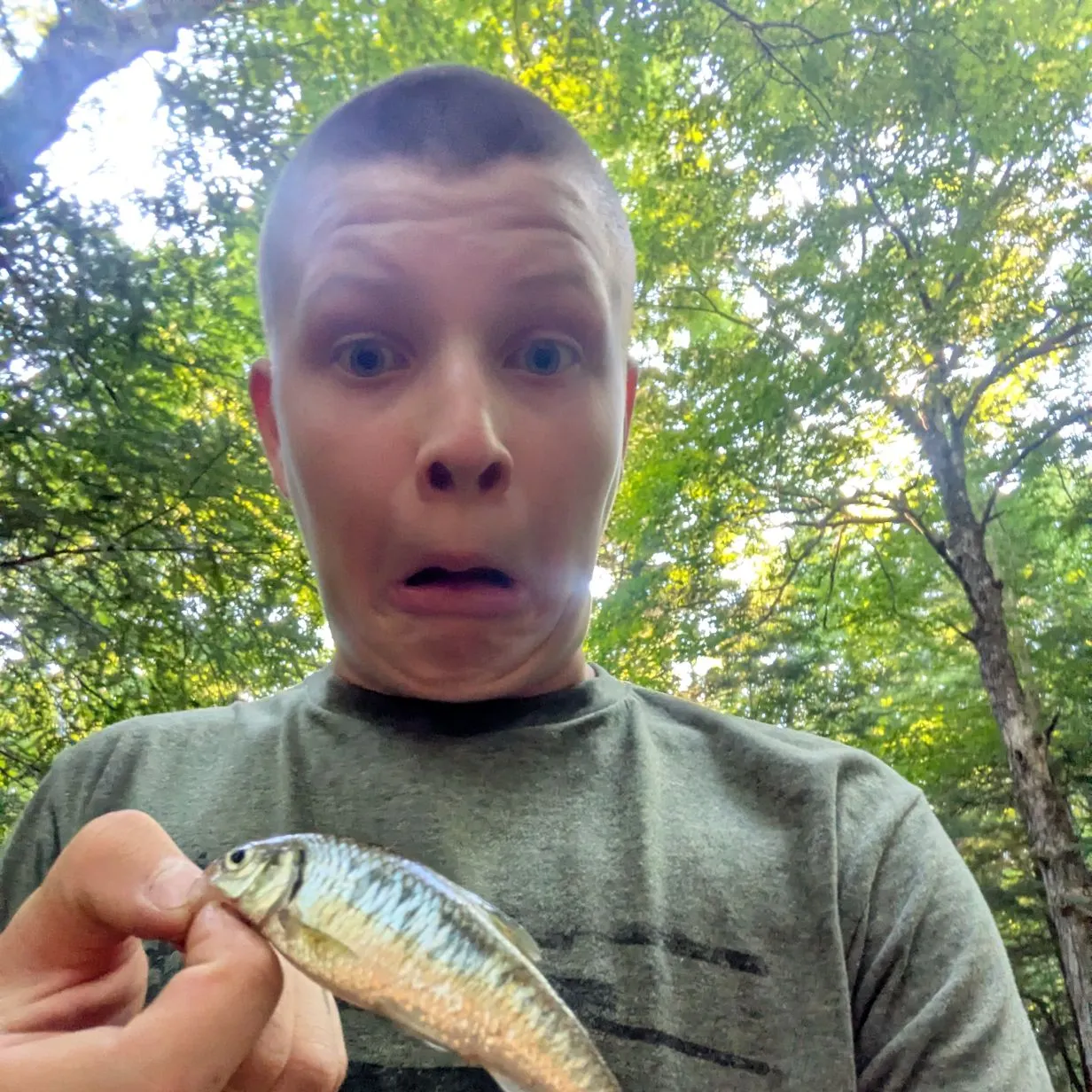 The most recent Striped shiner catches on Fishbrain