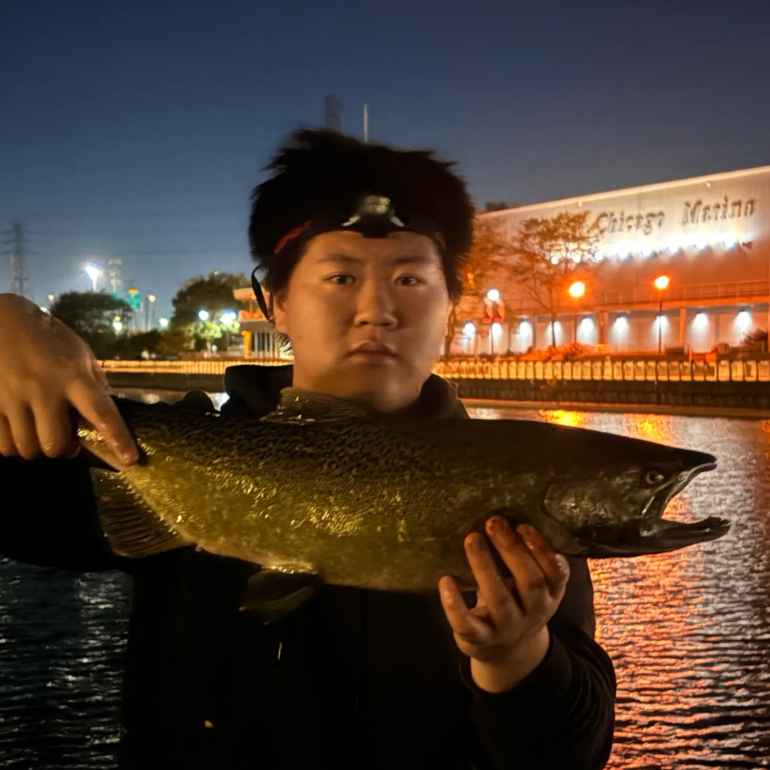 Chinook salmon caught on Fishbrain