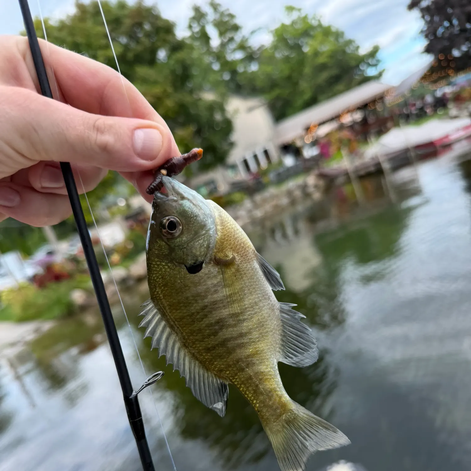 catch