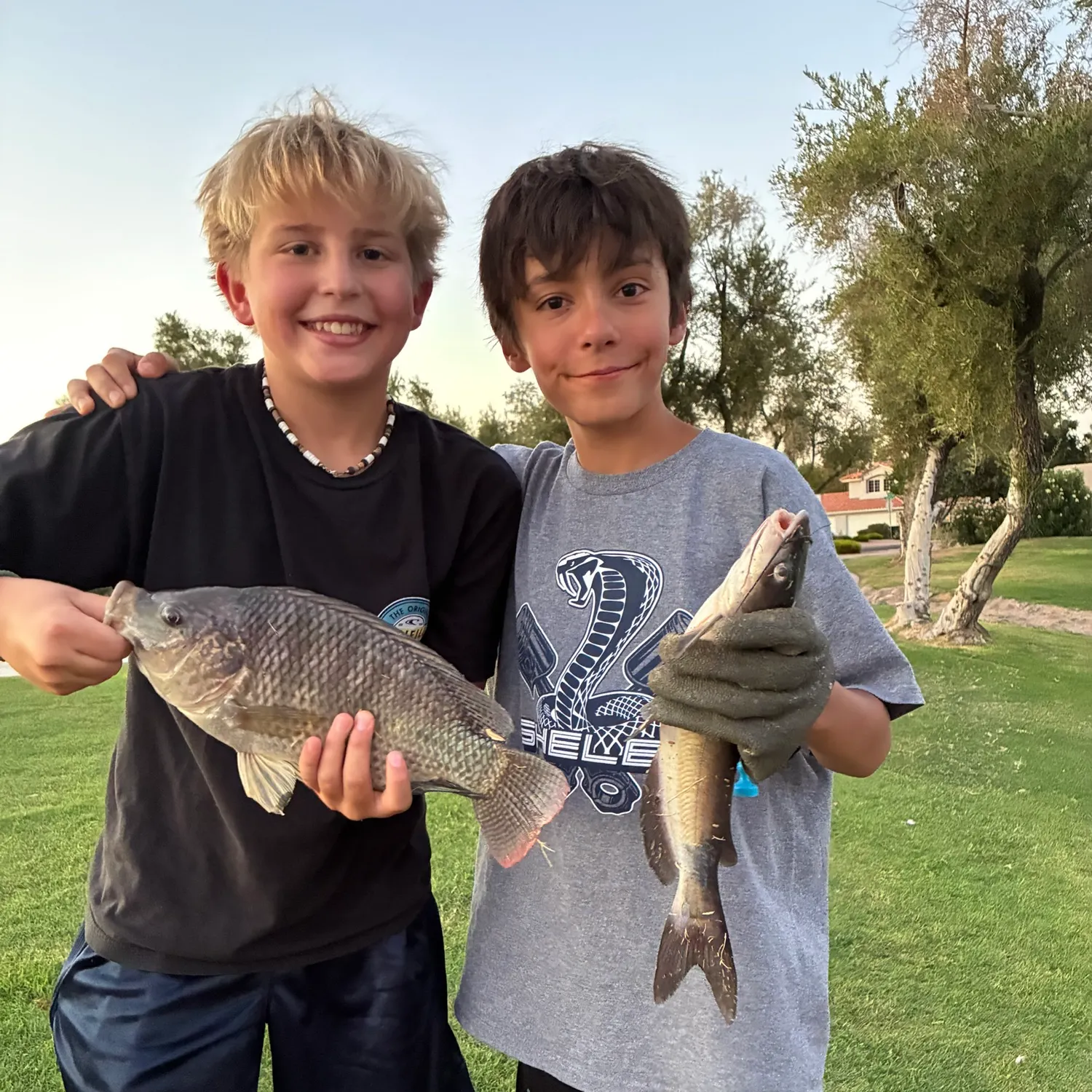 recently logged catches