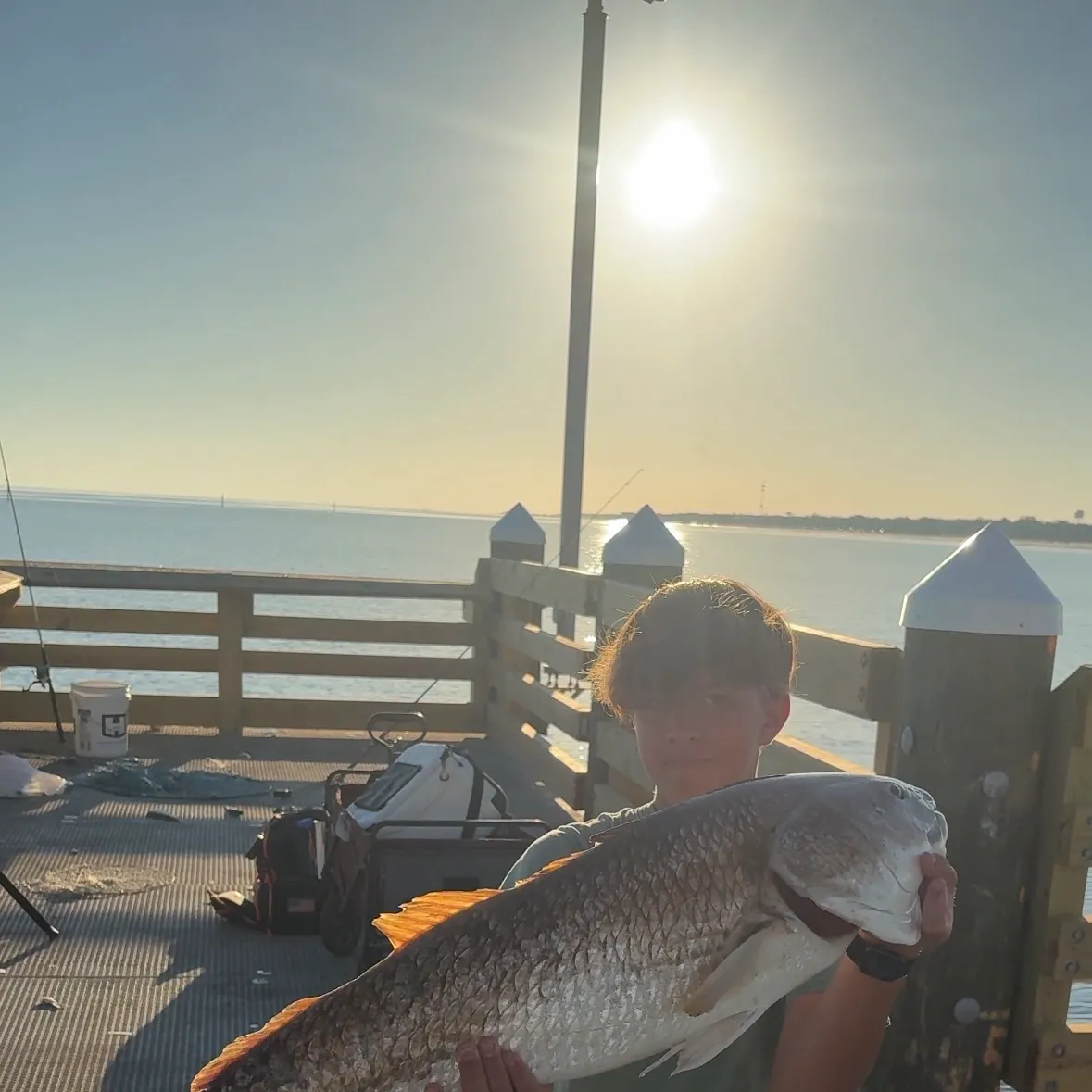 Red drum caught on Fishbrain