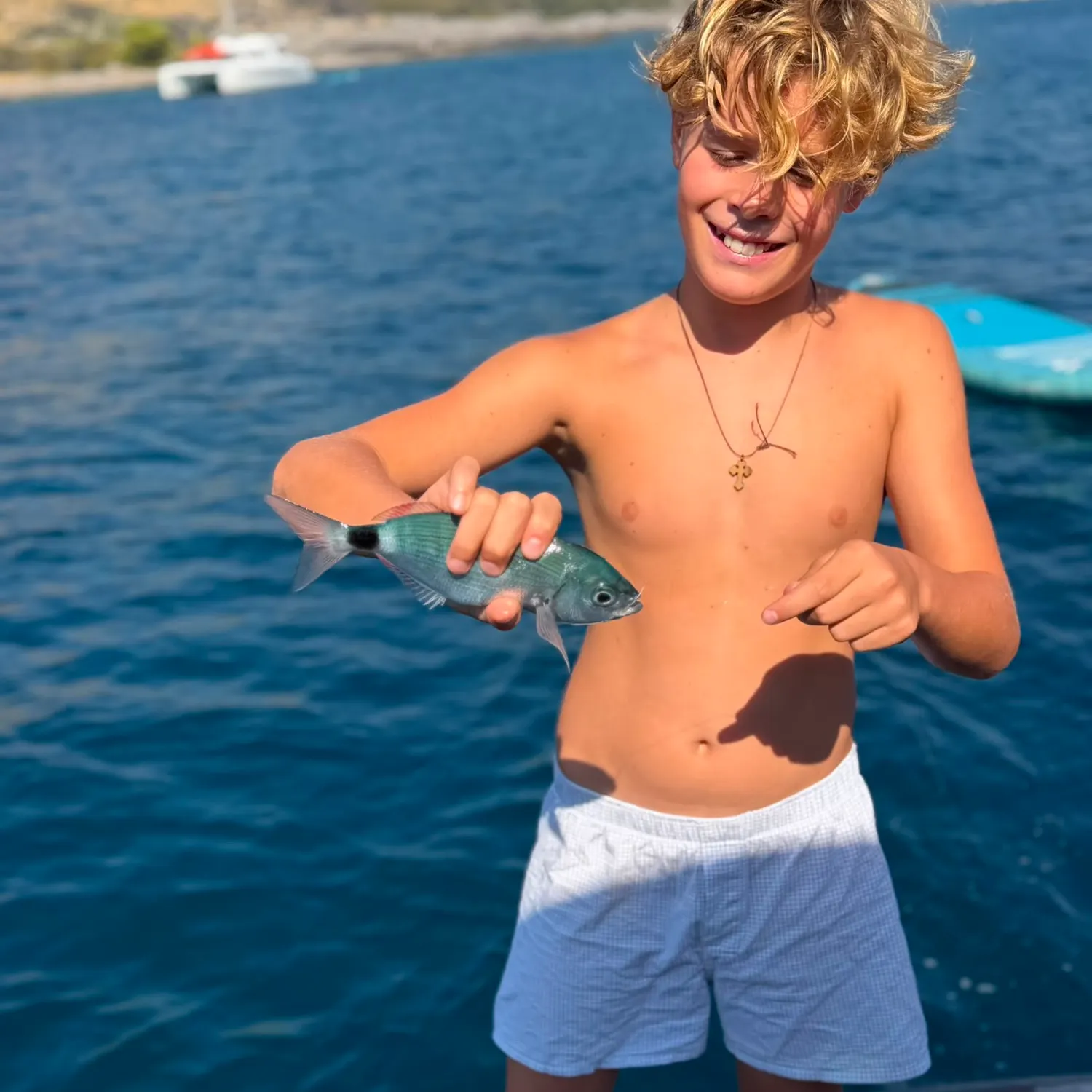 White seabream caught on Fishbrain