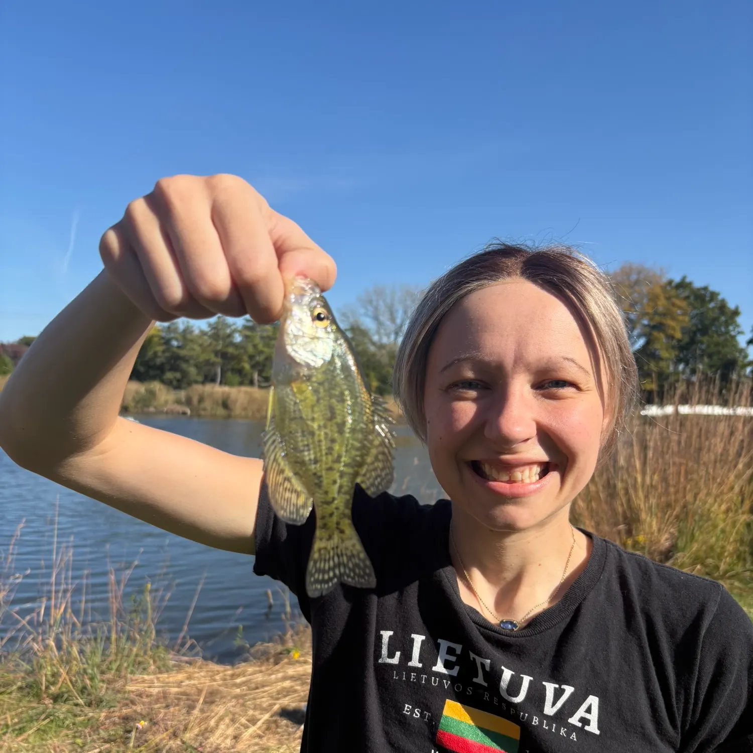 Black crappie caught on Fishbrain