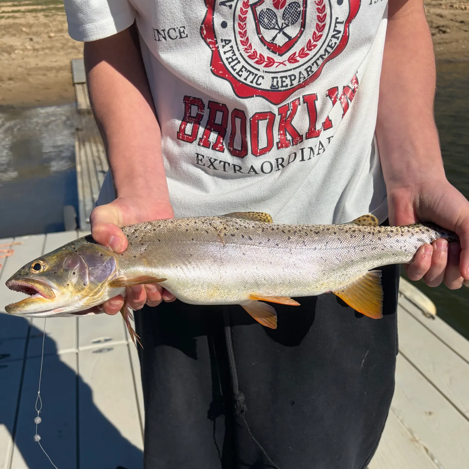 Cutthroat trout caught on Fishbrain