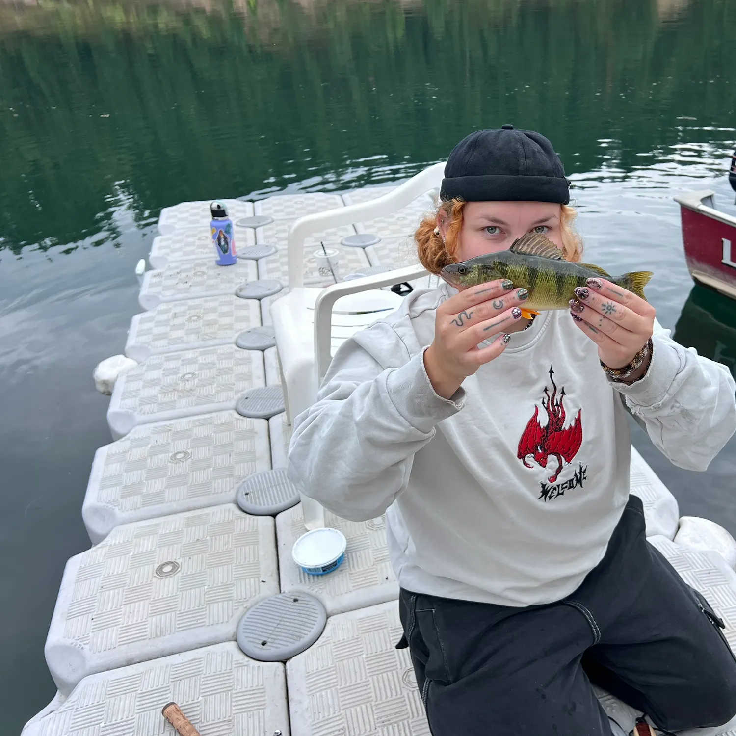 Yellow perch caught on Fishbrain