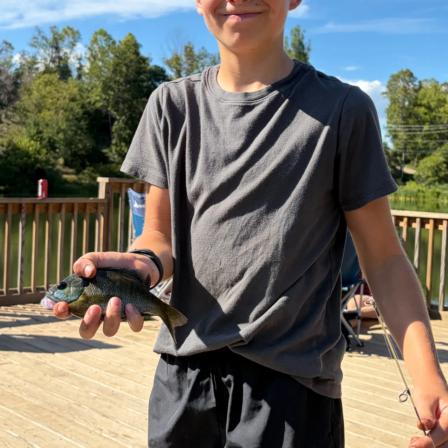 Bluegill caught on Fishbrain