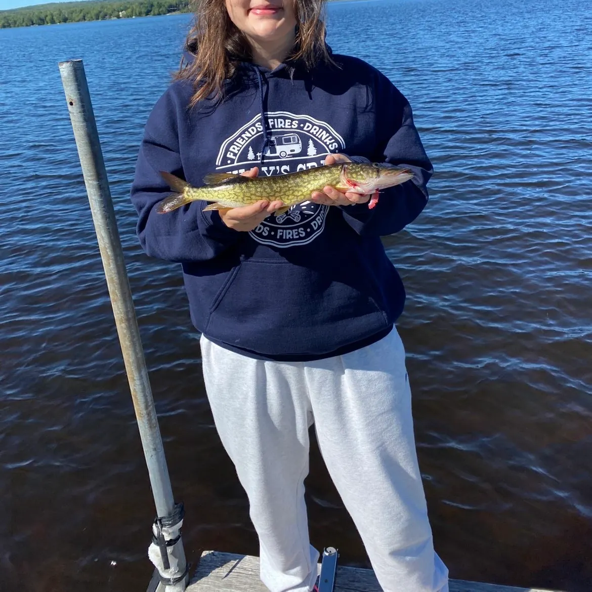 Chain pickerel caught on Fishbrain