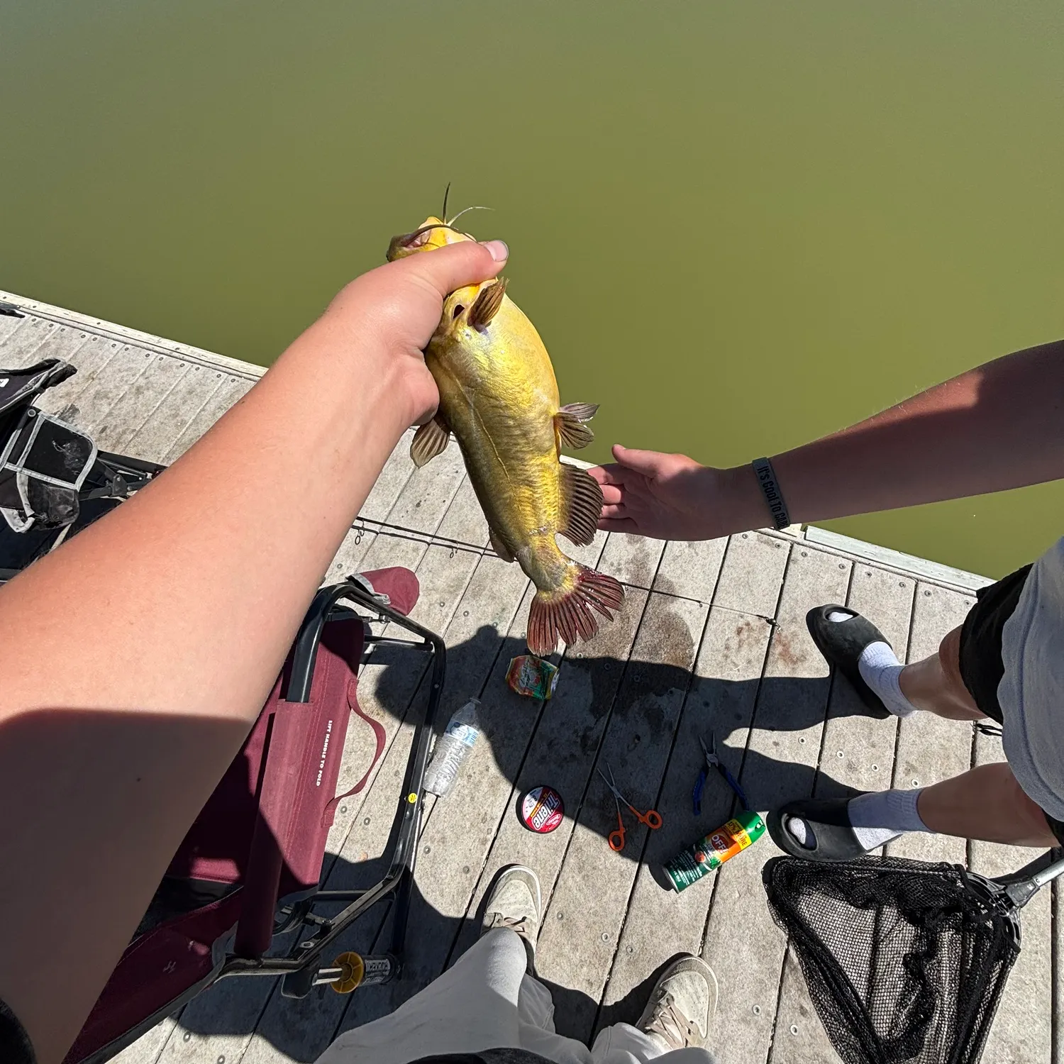 catch