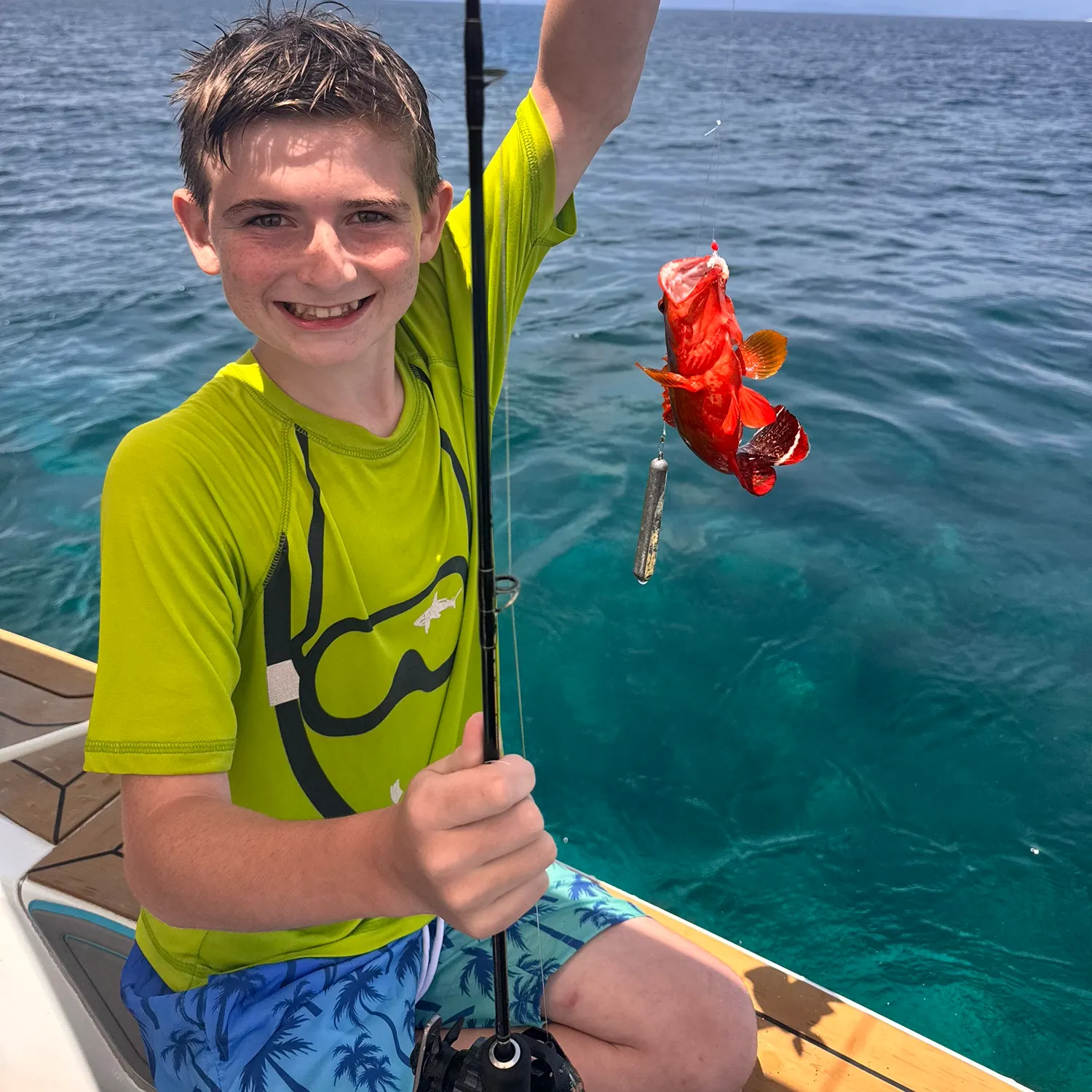 The most recent Darkfin hind catches on Fishbrain
