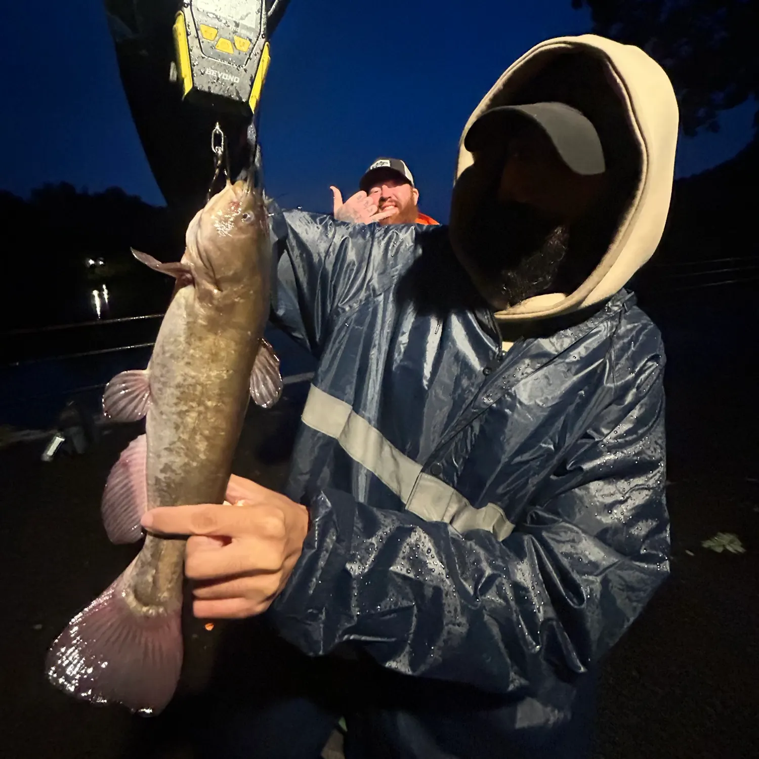 Brown bullhead caught on Fishbrain