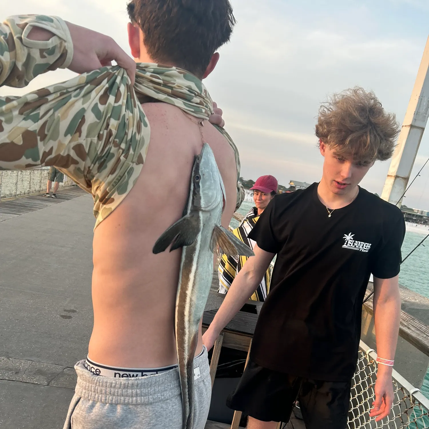 The most recent Common remora catches on Fishbrain