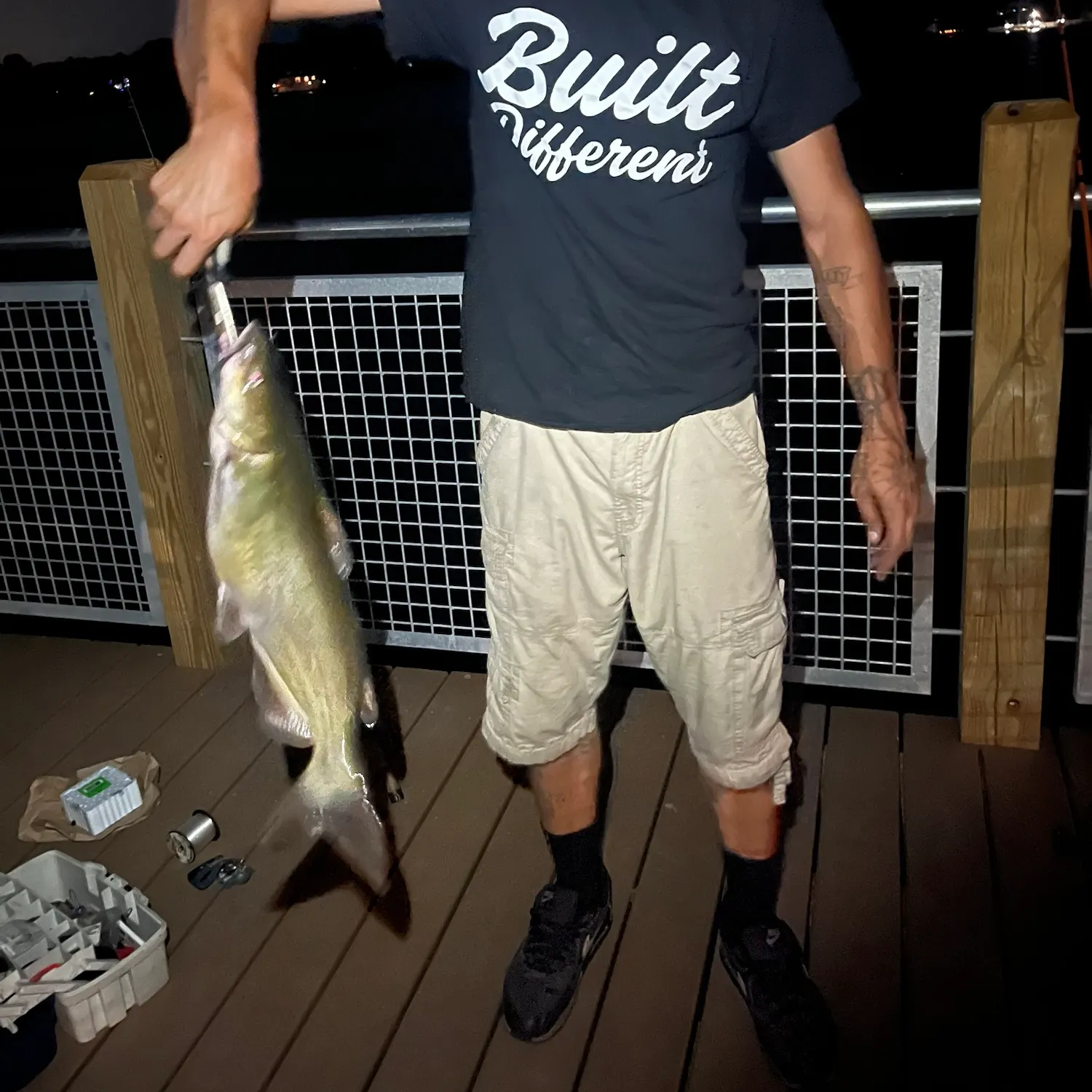 Channel catfish caught on Fishbrain