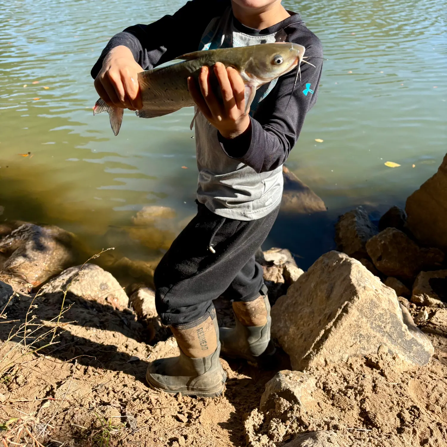 Channel catfish caught on Fishbrain