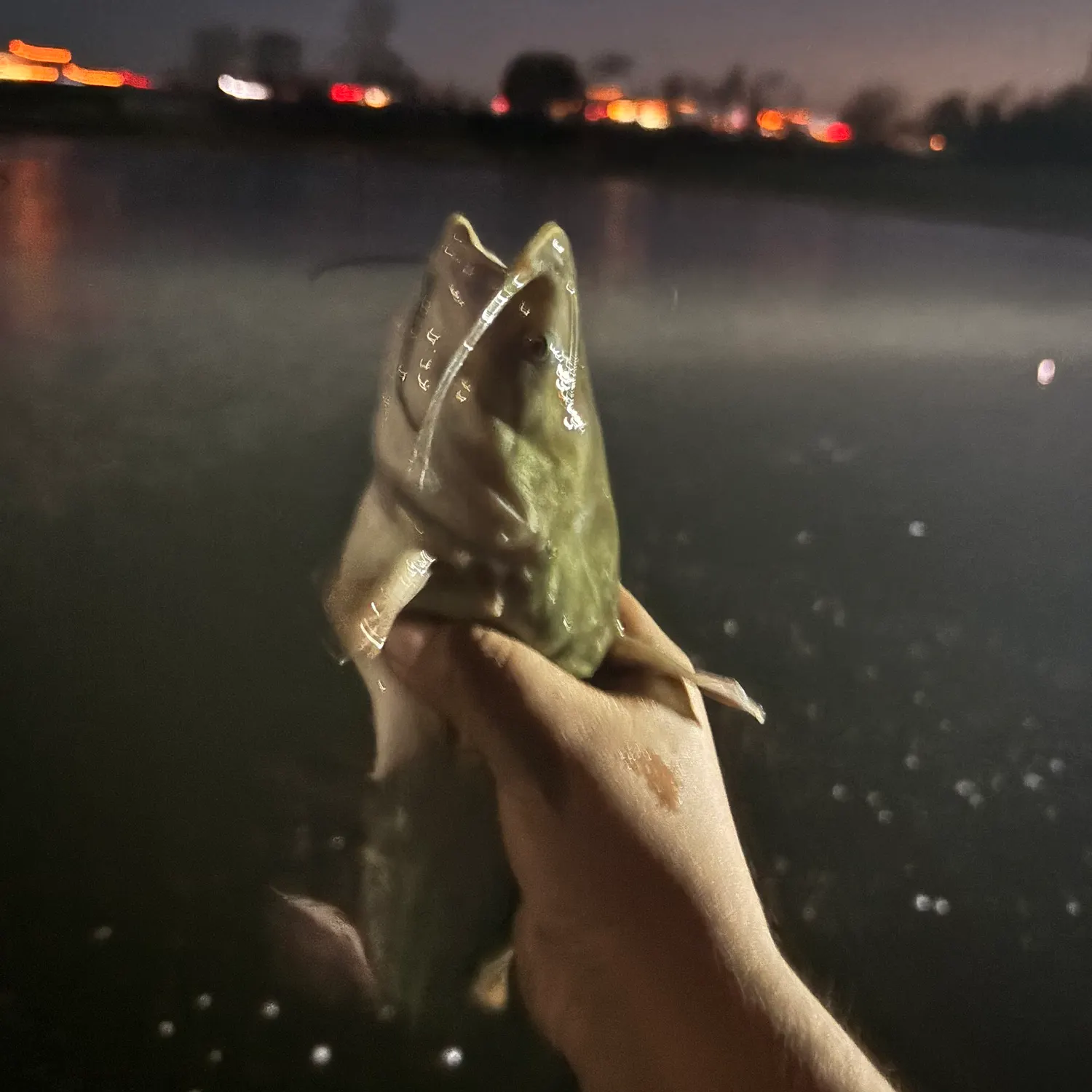 catch