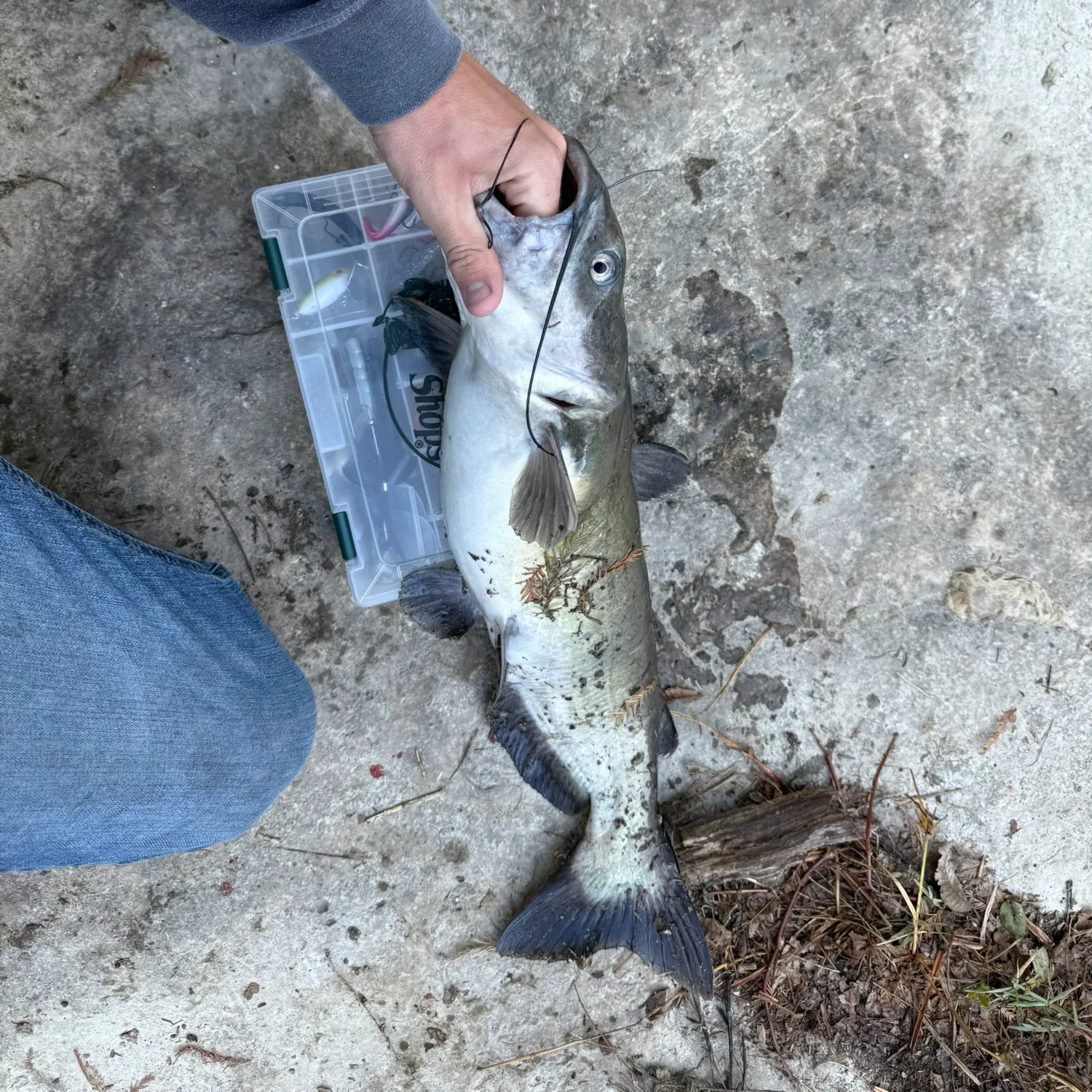 catch